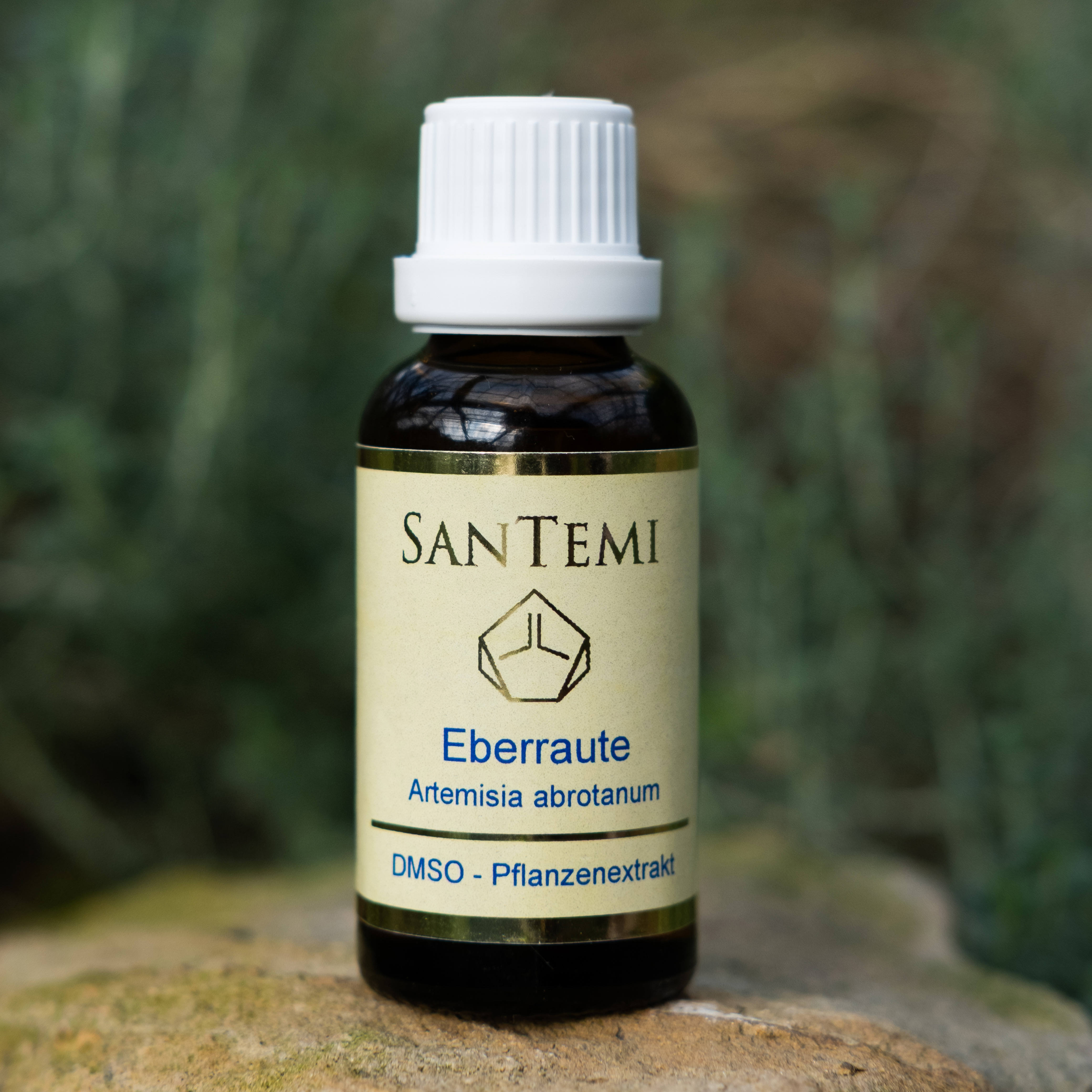 DMSO Pflanzenextrakt Eberraute - Artemisia abrotanum DMSO Pflanzenextrakt Eberraute - Artemisia abrotanum