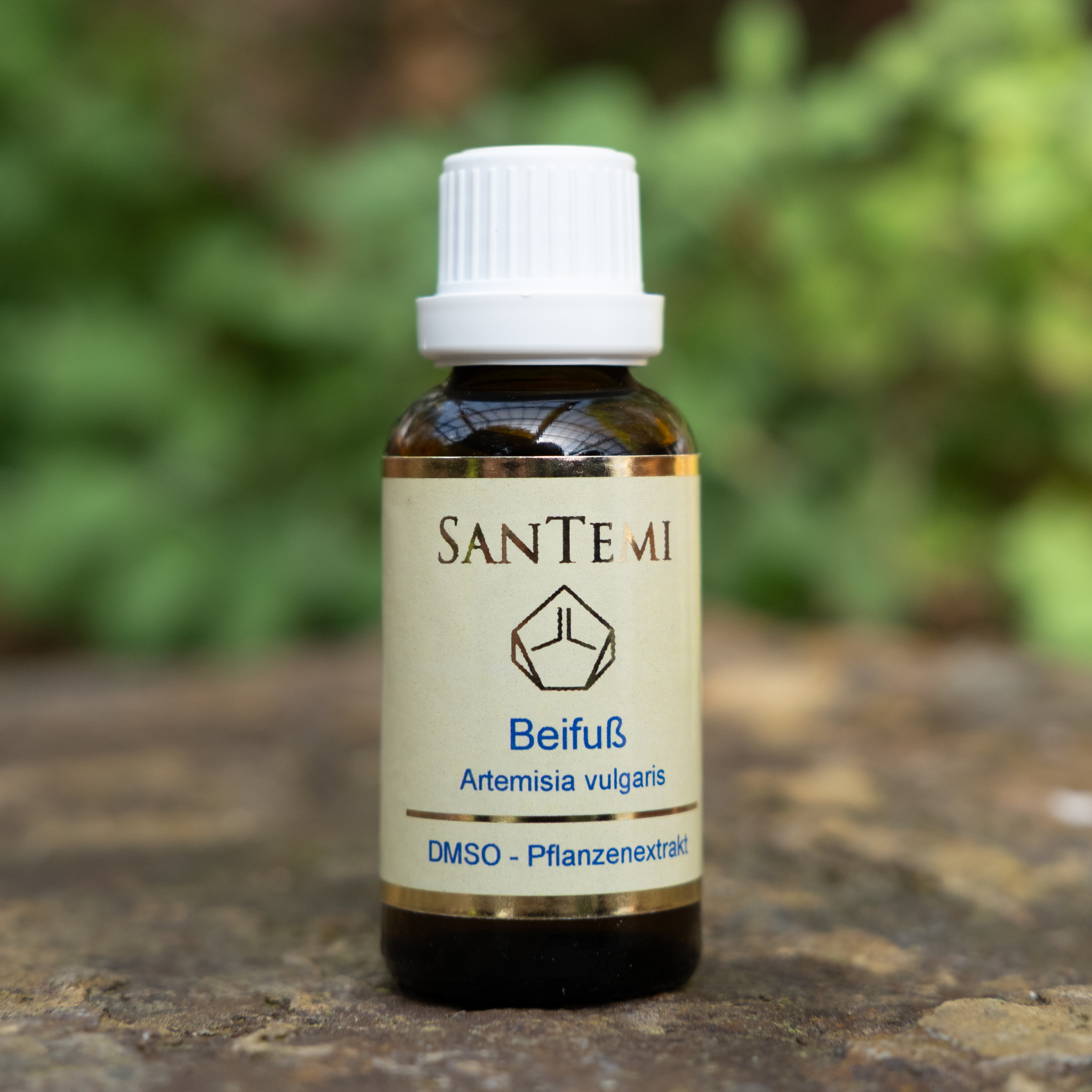 DMSO Pflanzenextrakt Beifuß - Artemisia vulgaris DMSO Pflanzenextrakt Beifuß - Artemisia vulgaris