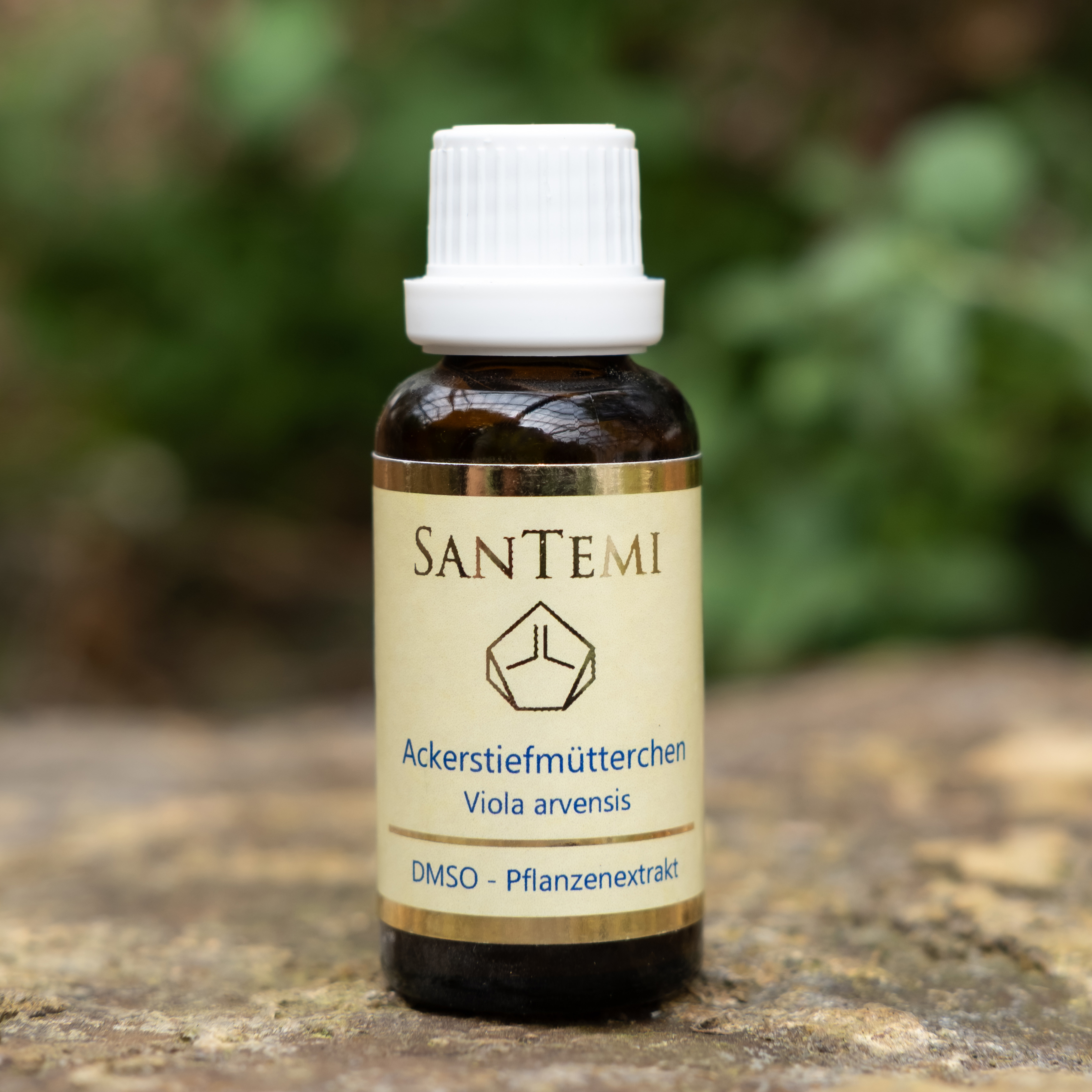 DMSO Pflanzenextrakt Ackerstiefmütterchen - Viola arvensis DMSO Pflanzenextrakt Ackerstiefmütterchen - Viola arvensis