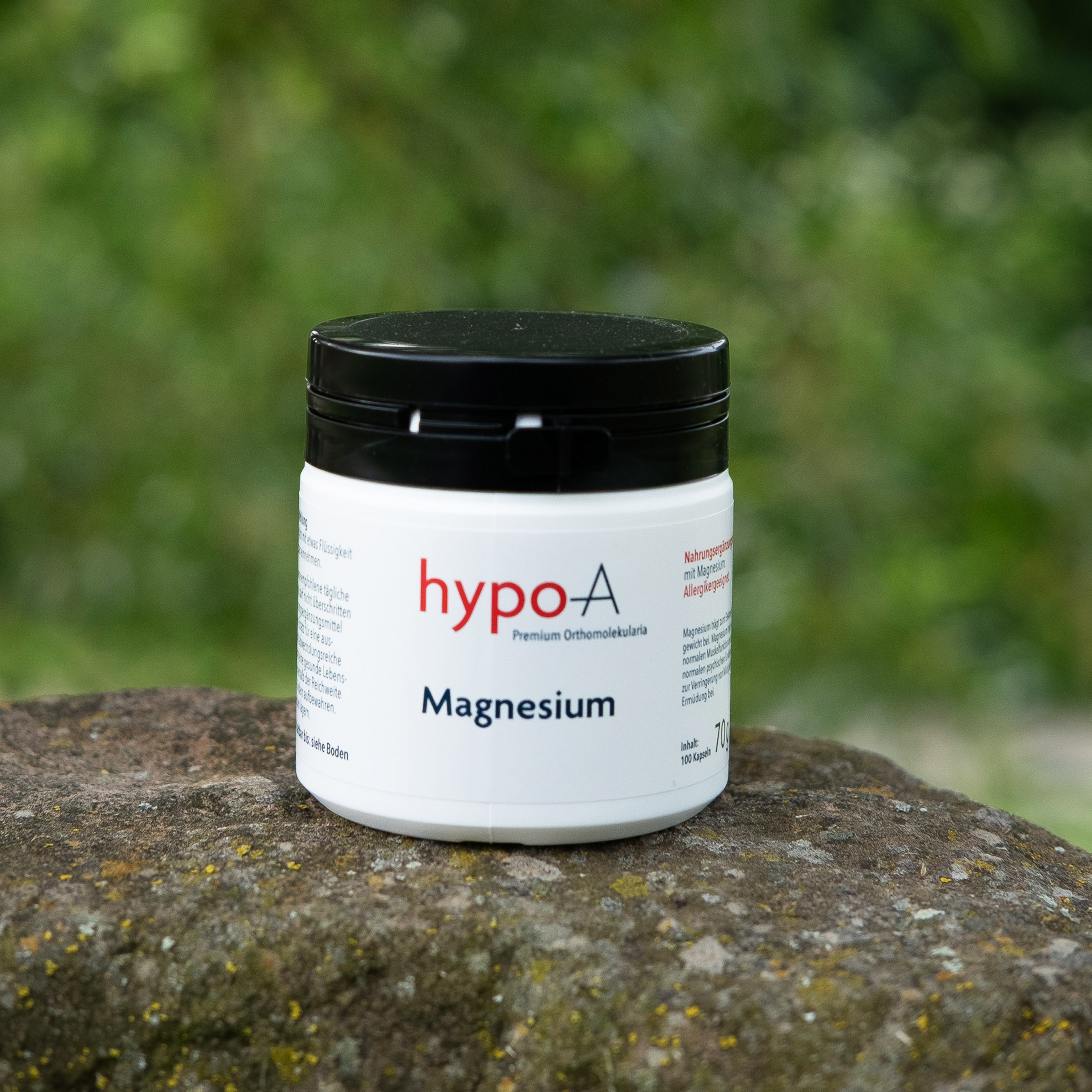 Magnesium 100 Kapseln