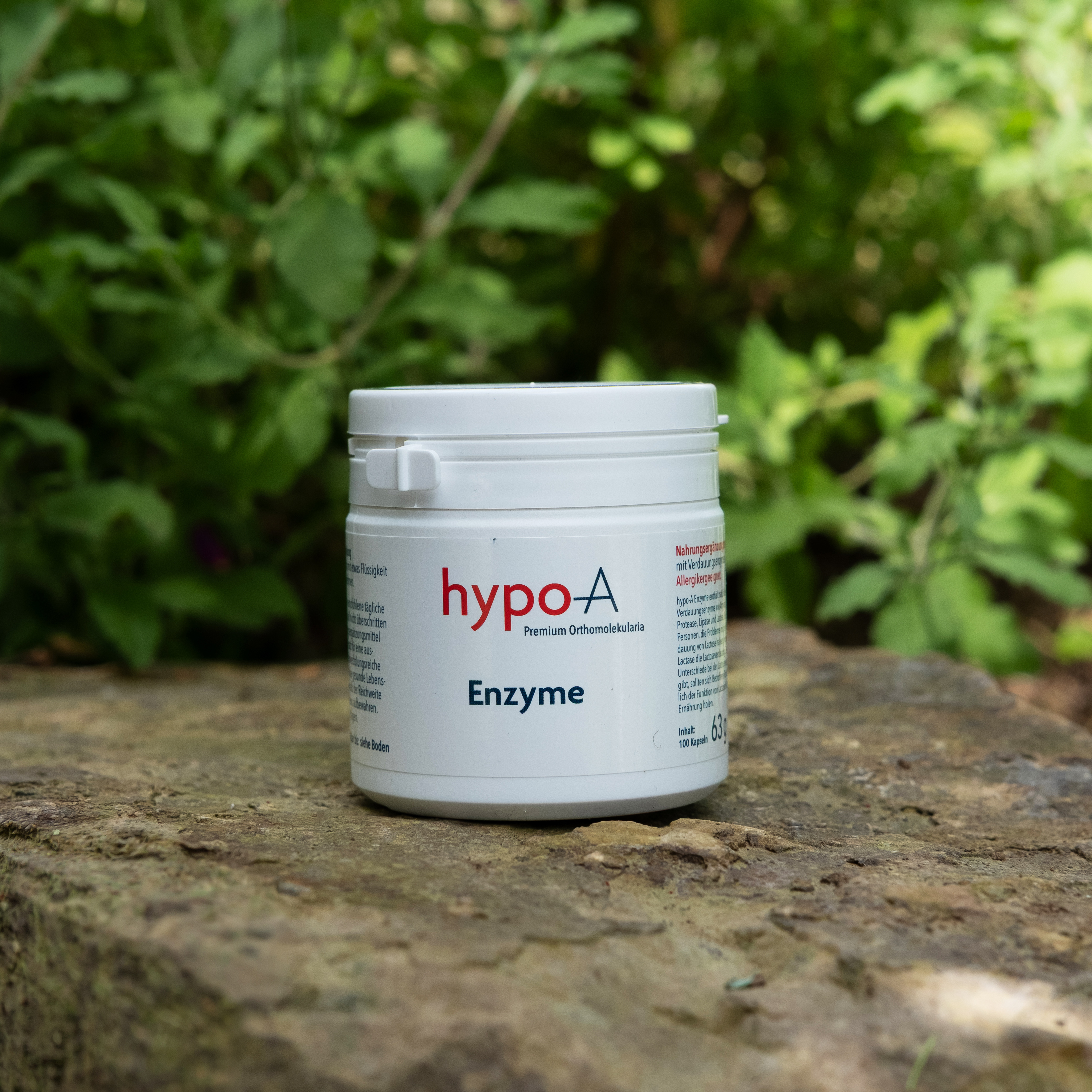 Enzyme 100 Kapseln