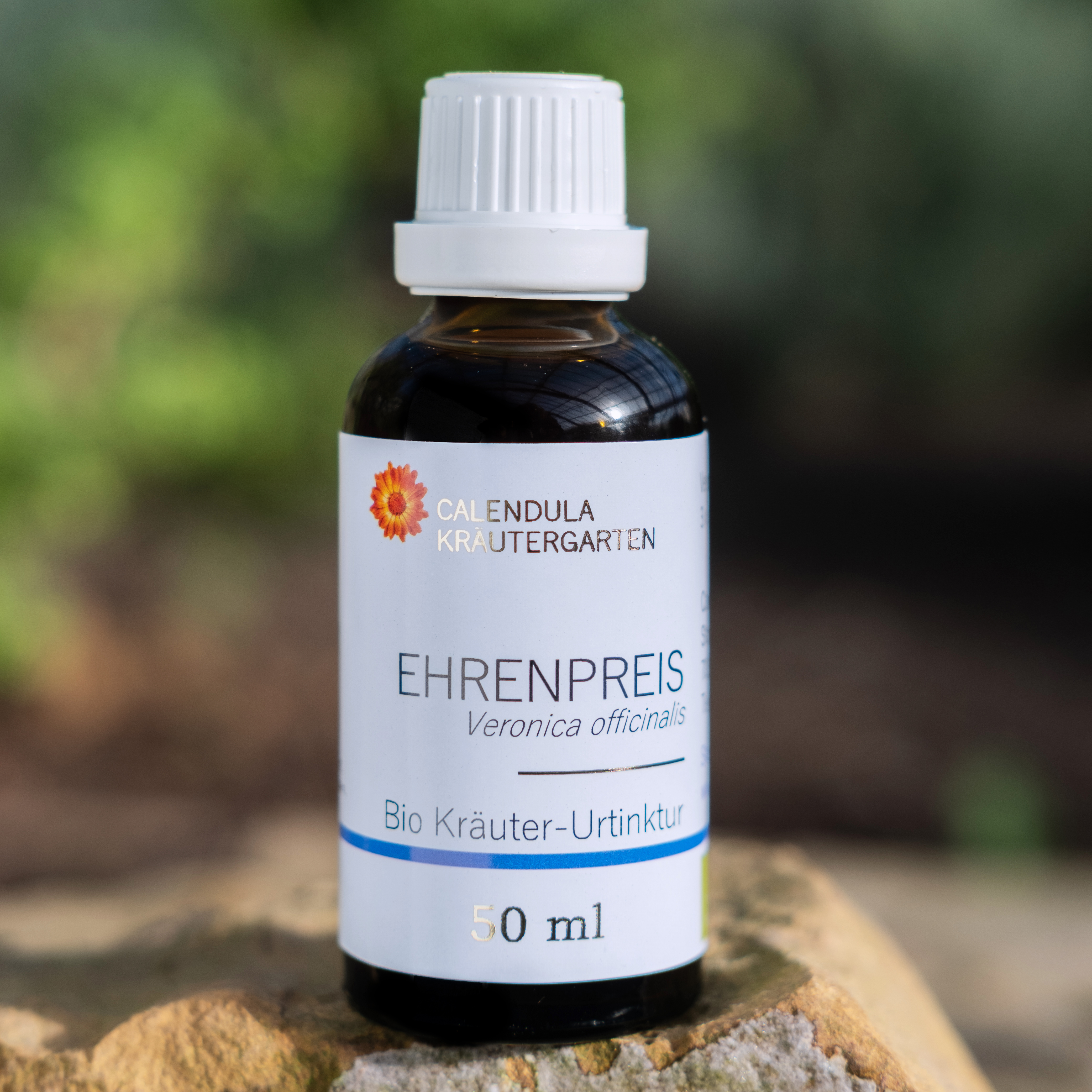 Ehrenpreis, Veronica officinalis, Bio Kräuter-Urtinktur 