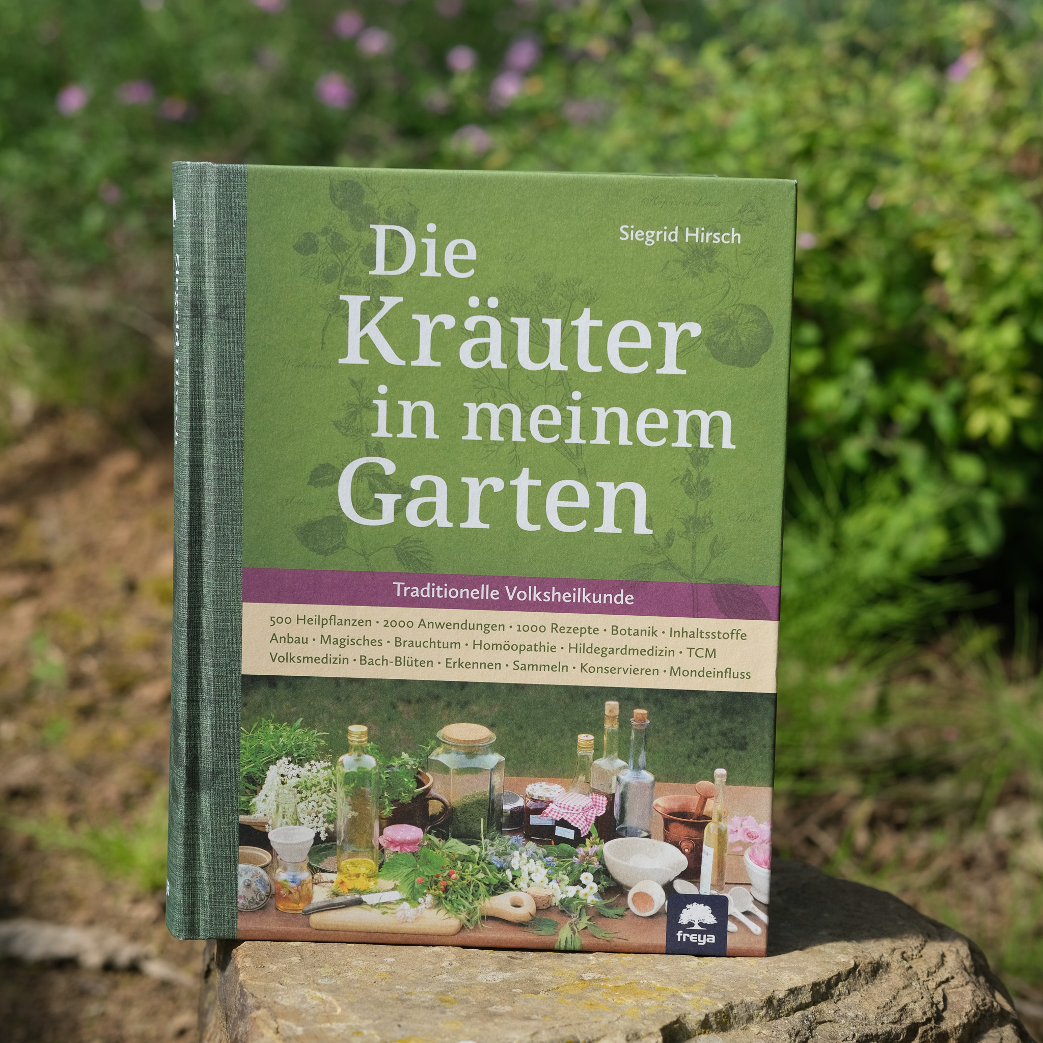 Die Kräuter in meinem Garten