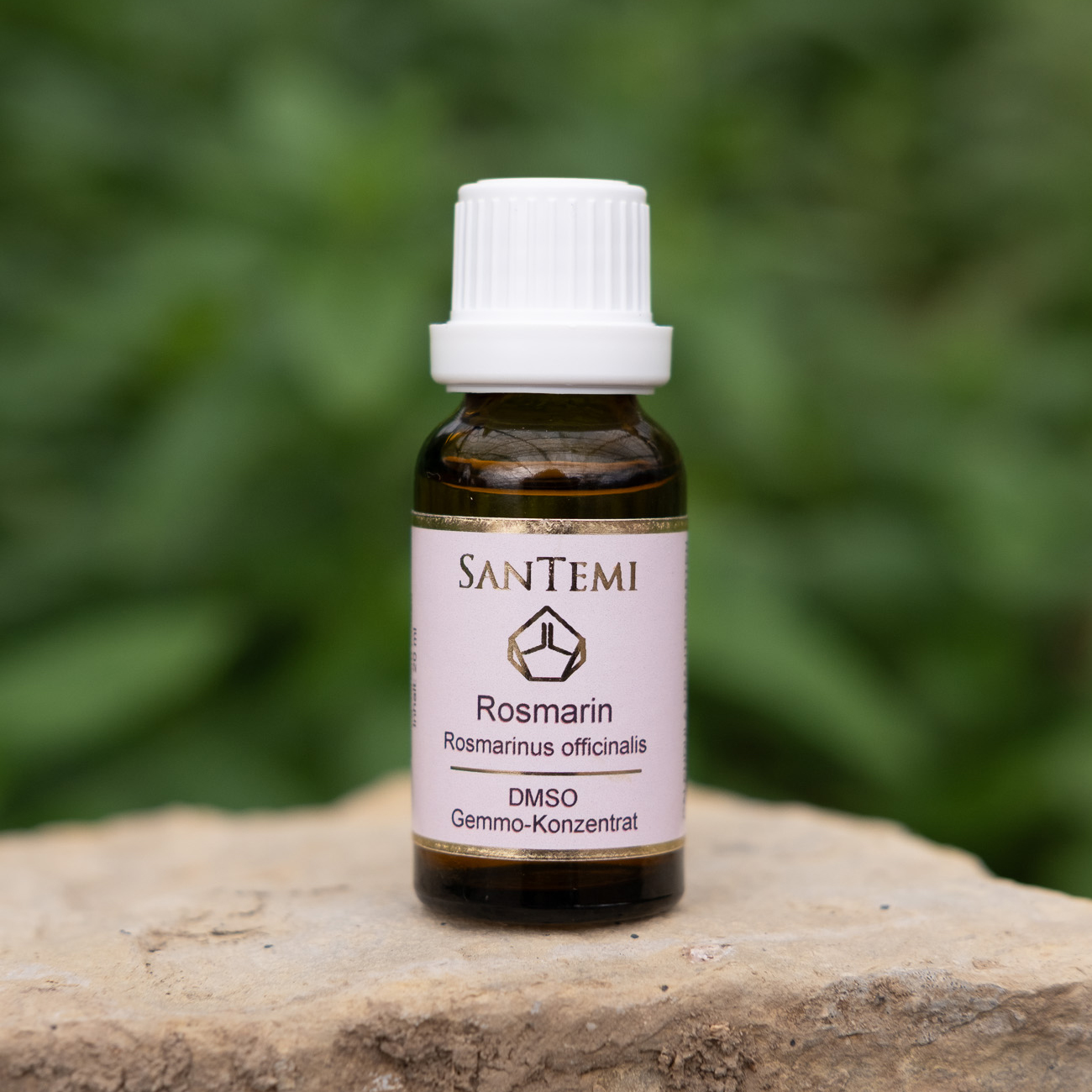 DMSO Gemmo-Konzentrat Rosmarin Rosmarinus officinalis