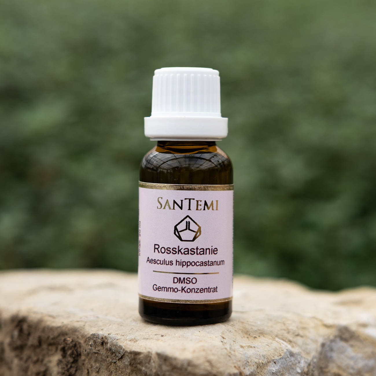 DMSO Gemmo-Konzentrat Rosskastanie Aesculus hippocastanum