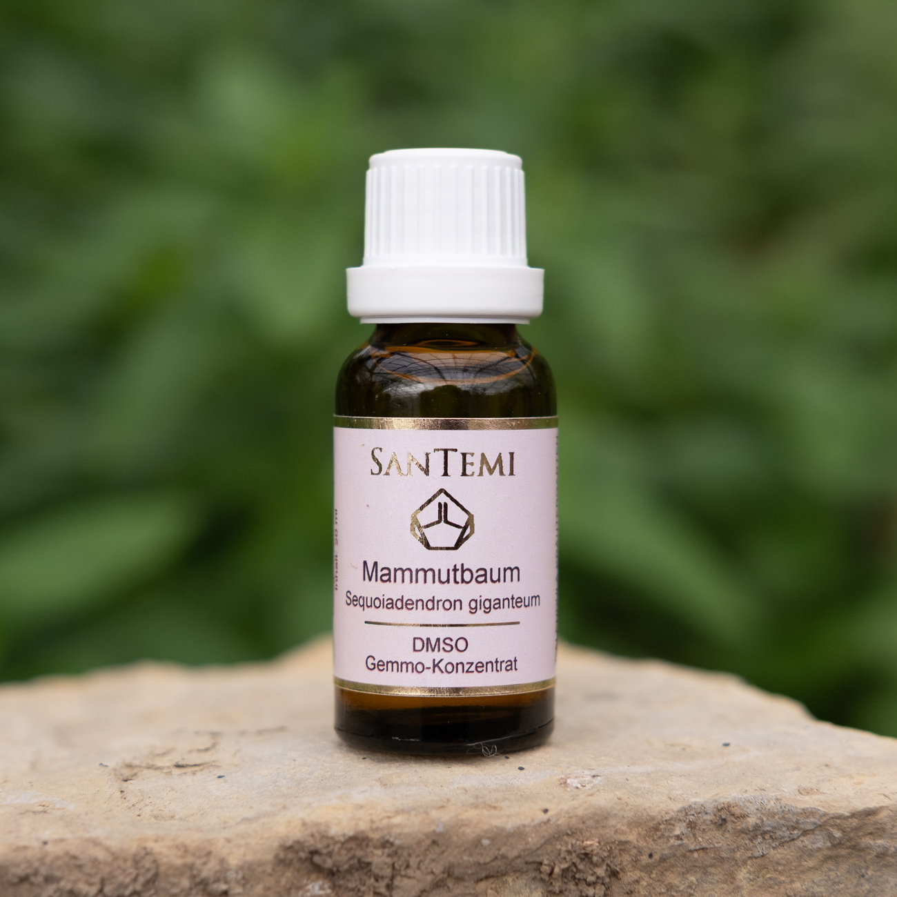 DMSO Gemmo-Konzentrat Mammutbaum Sequoiadendron giganteum, 20 ml
