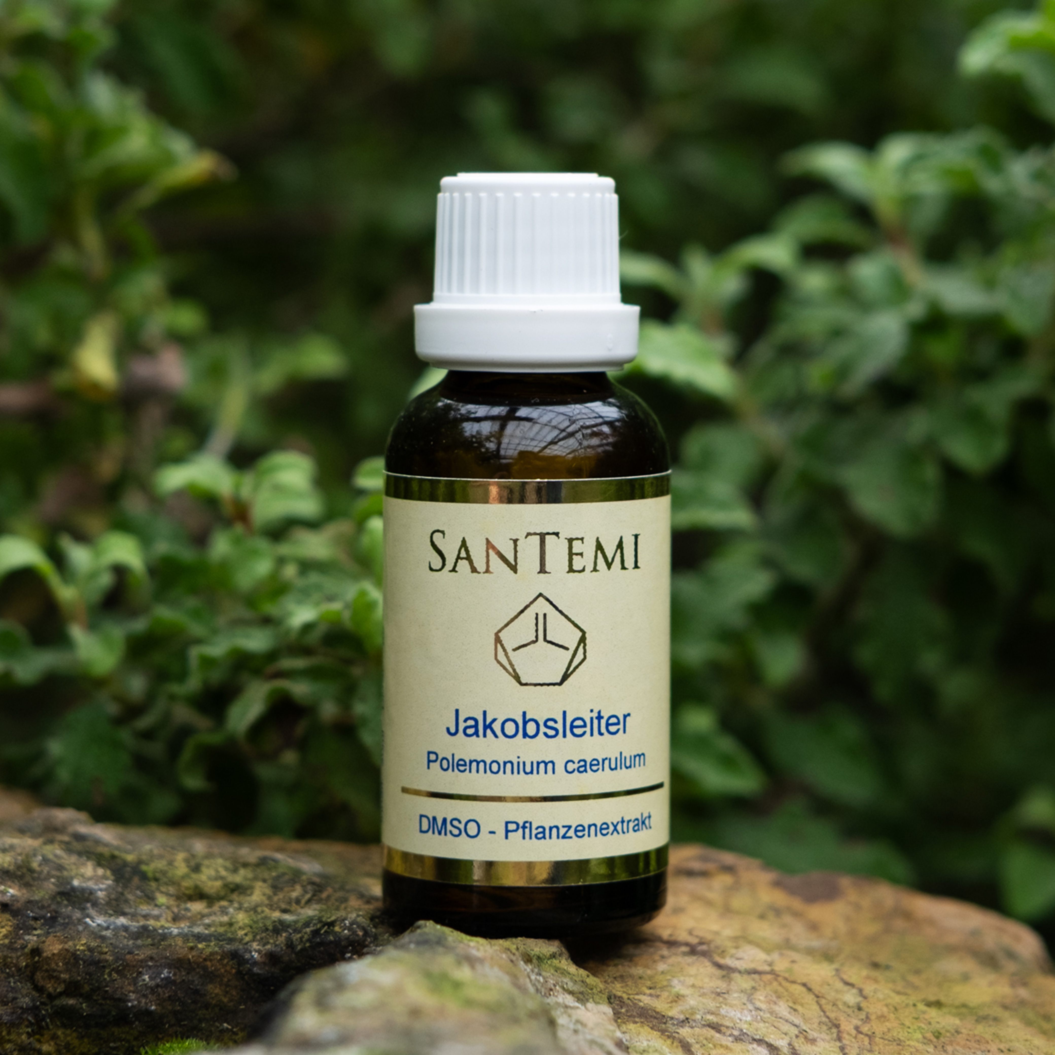 Jakobsleiter (Polemonium caeruleum) DMSO Pflanzenextrakt 30 ml