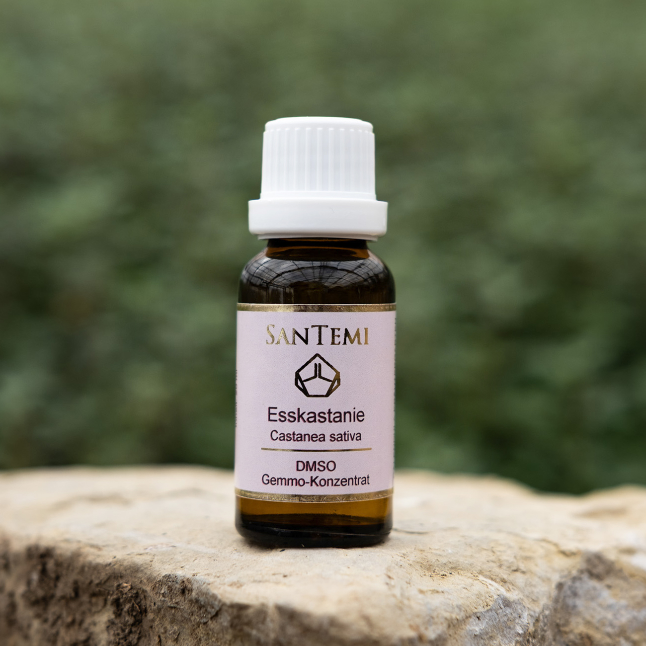 DMSO Gemmo-Konzentrat Esskastanie Castanea sativa, 20 ml