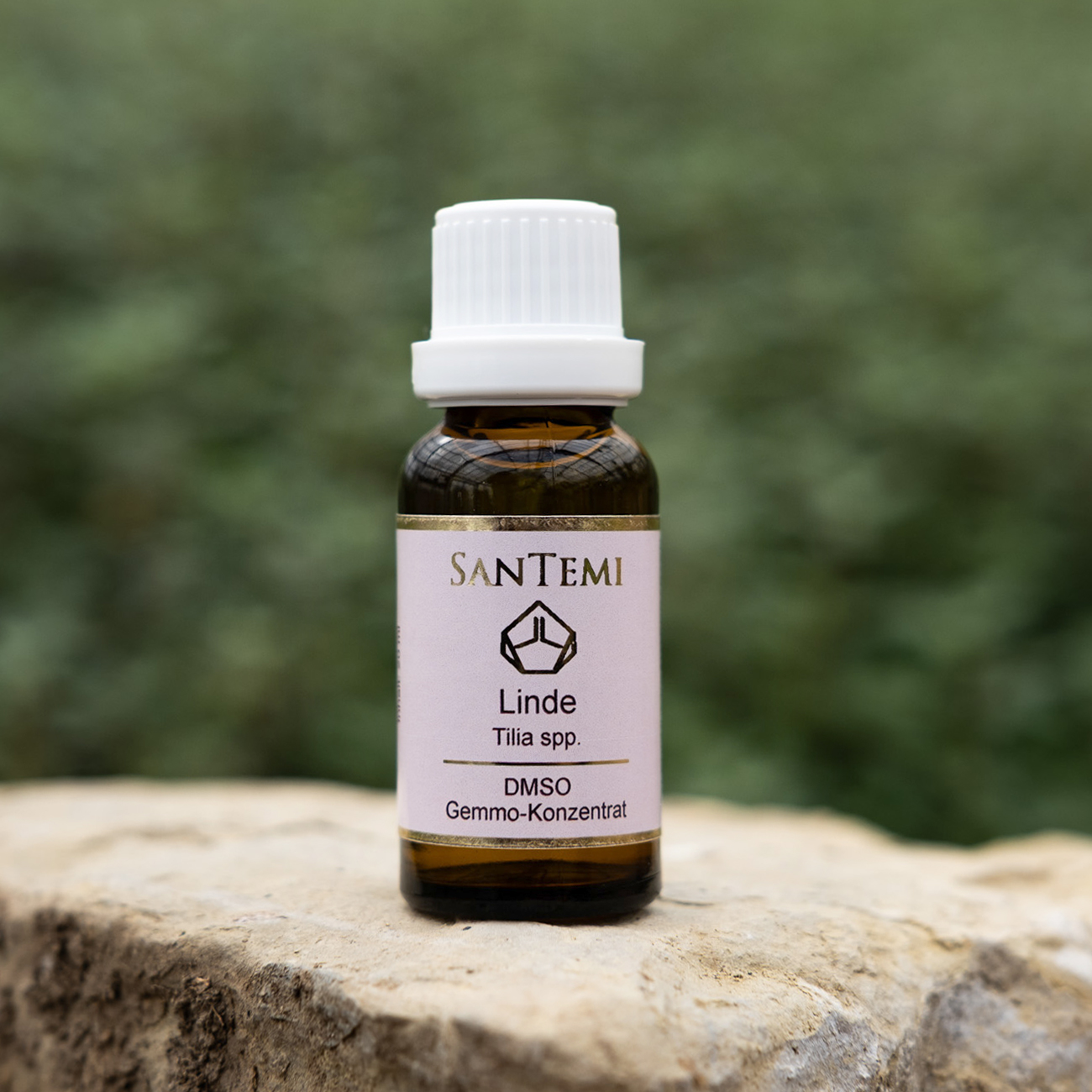 DMSO Gemmo-Konzentrat Linde Tilia species