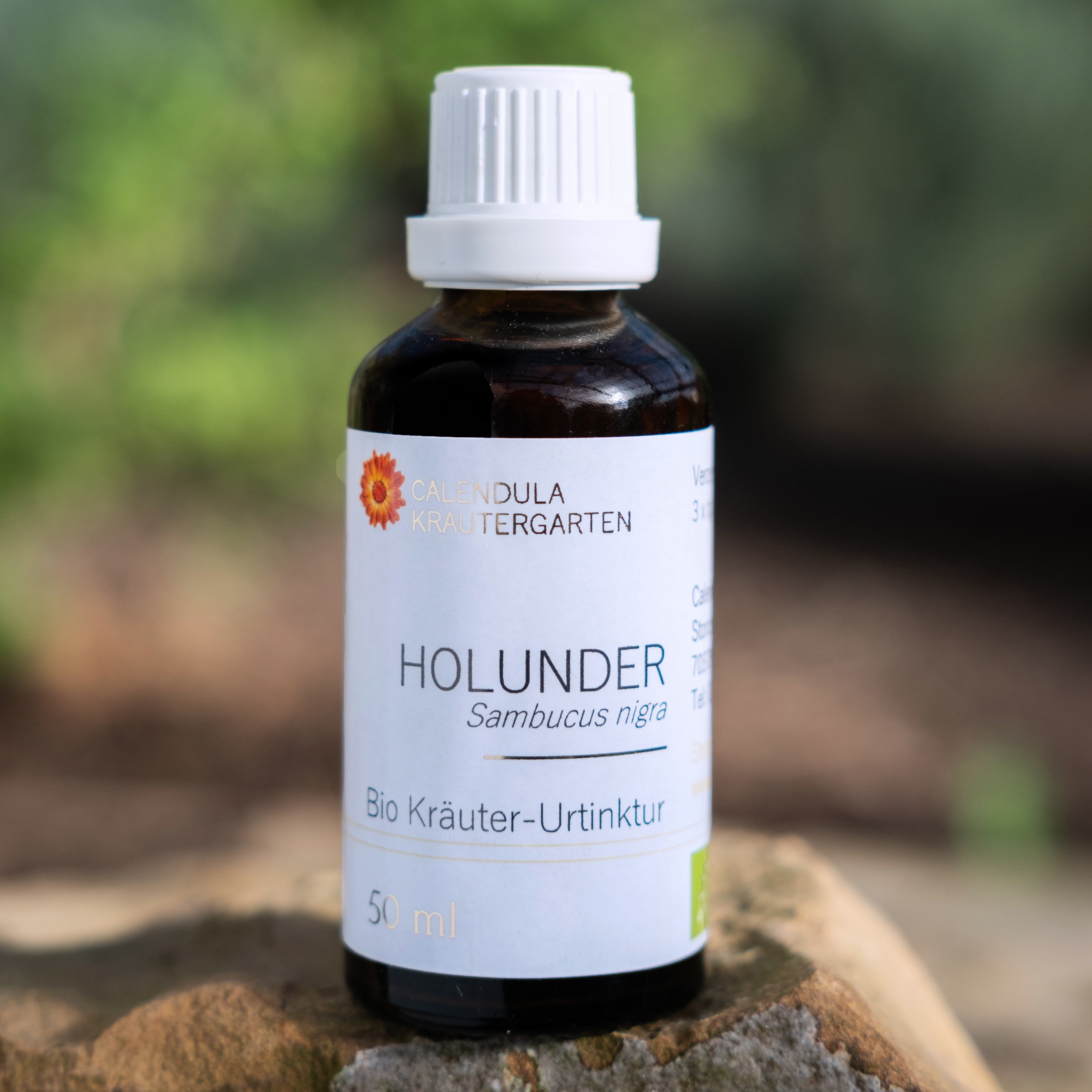 Holunder, Sambucus nigra, Bio Kräuter-Urtinktur 