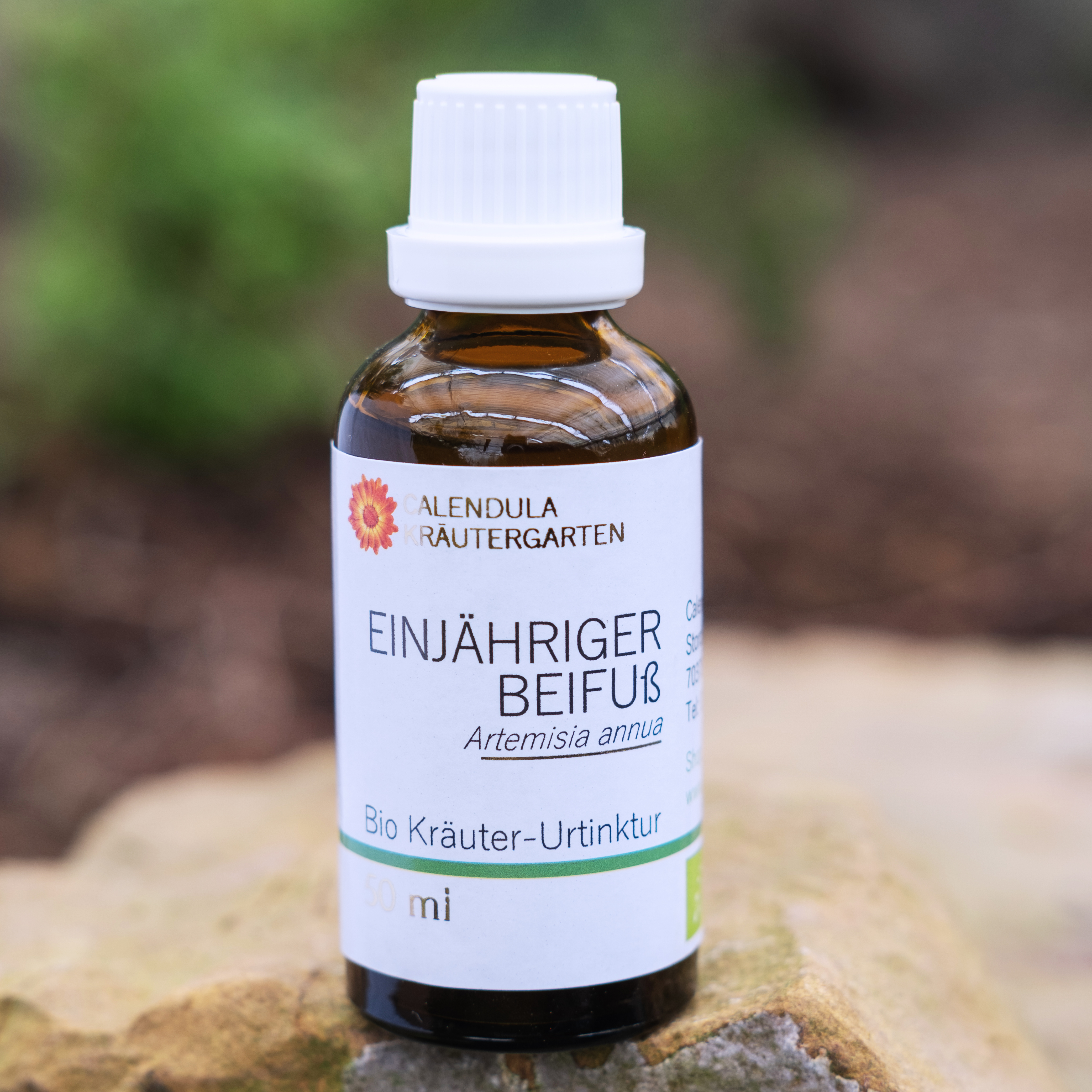 Einjähriger Beifuß (Artemisia annua), Bio Kräuter-Urtinktur, 50ml Einjähriger Beifuß (Artemisia annua), Bio Kräuter-Urtinktur, 50ml