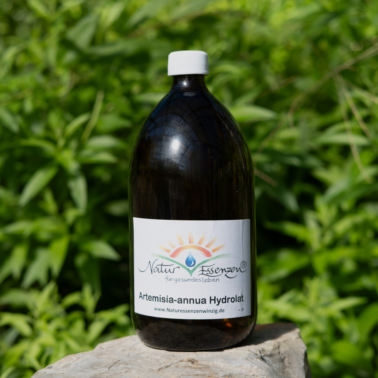 Artemisia annua Hydrolat 1 L