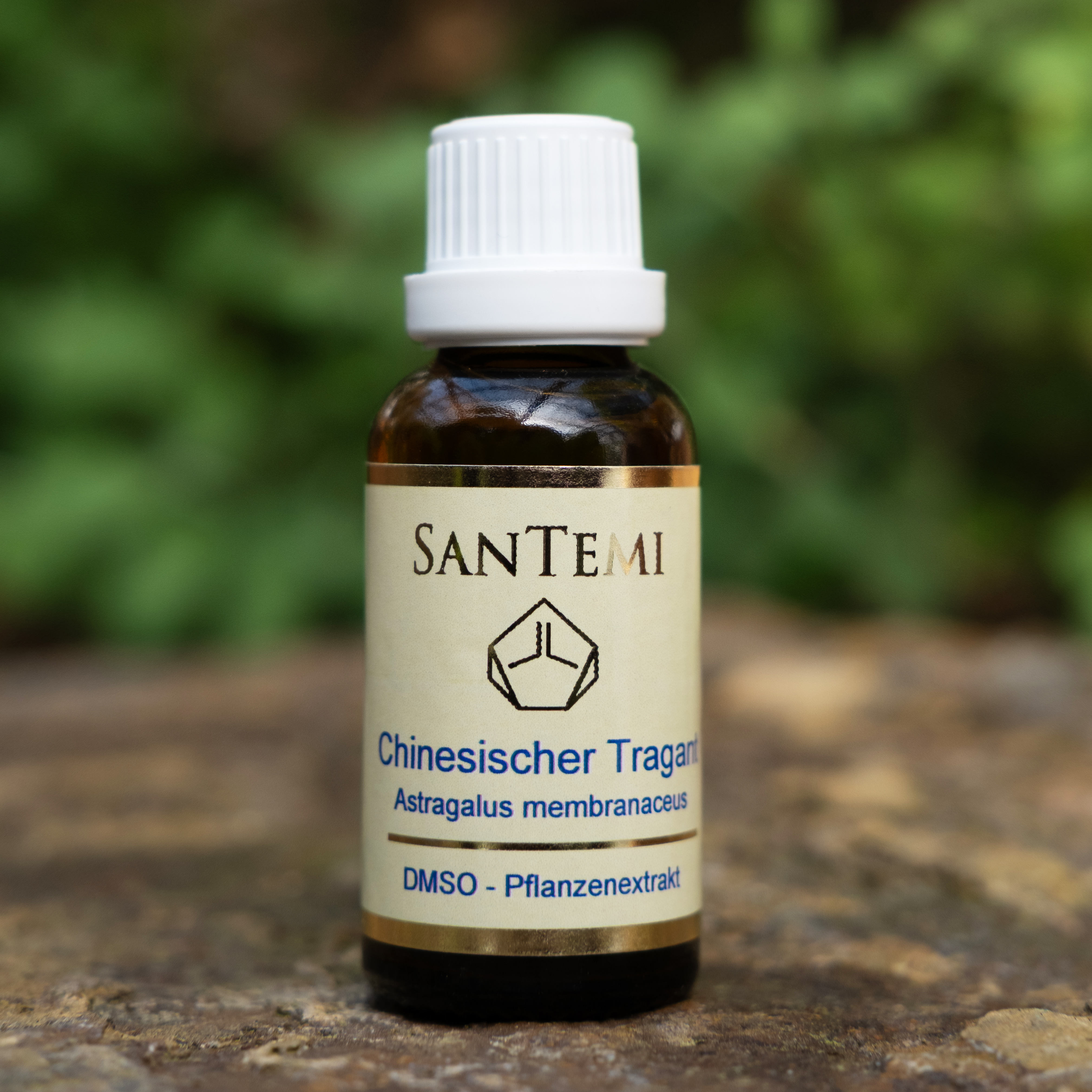 DMSO Pflanzenextrakt Chinesischer Tragant - Astragalus membranaceus DMSO Pflanzenextrakt Chinesischer Tragant - Astragalus membranaceus