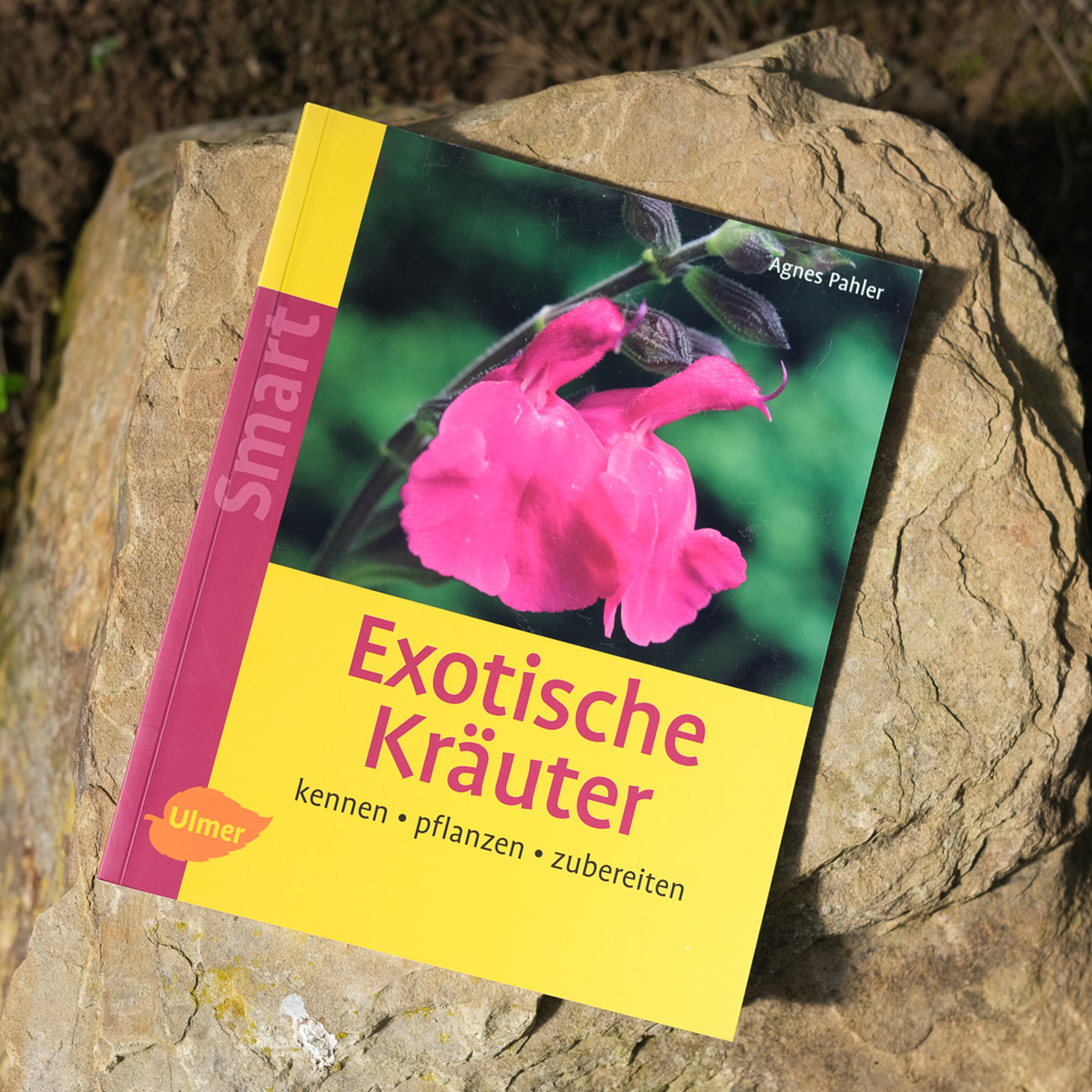 Exotische Kräuter – Erkennen, pflanzen, zubereiten von Agnes Pahler Exotische Kräuter – Erkennen, pflanzen, zubereiten von Agnes Pahler