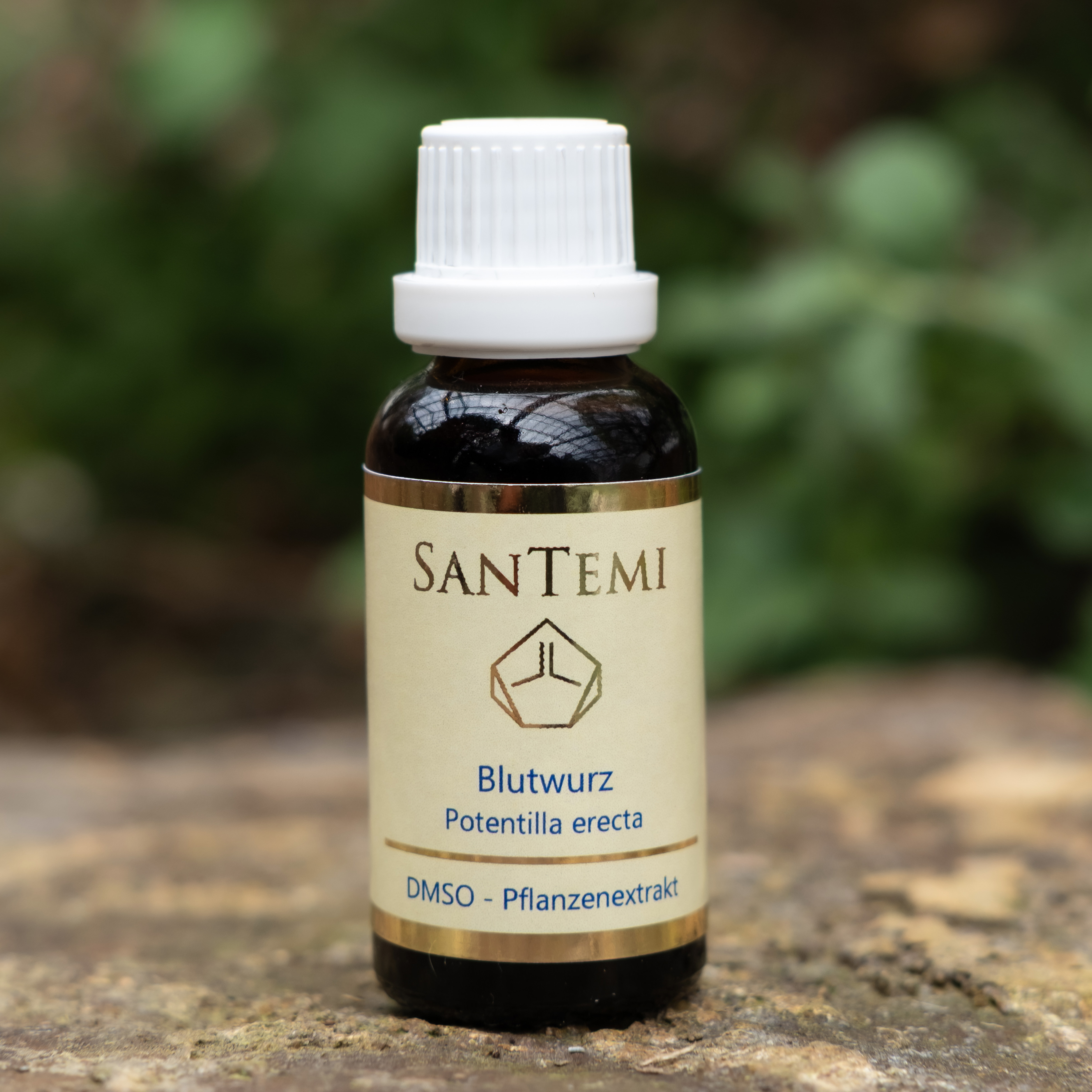 DMSO Pflanzenextrakt Blutwurz - Potentilla erecta DMSO Pflanzenextrakt Blutwurz - Potentilla erecta