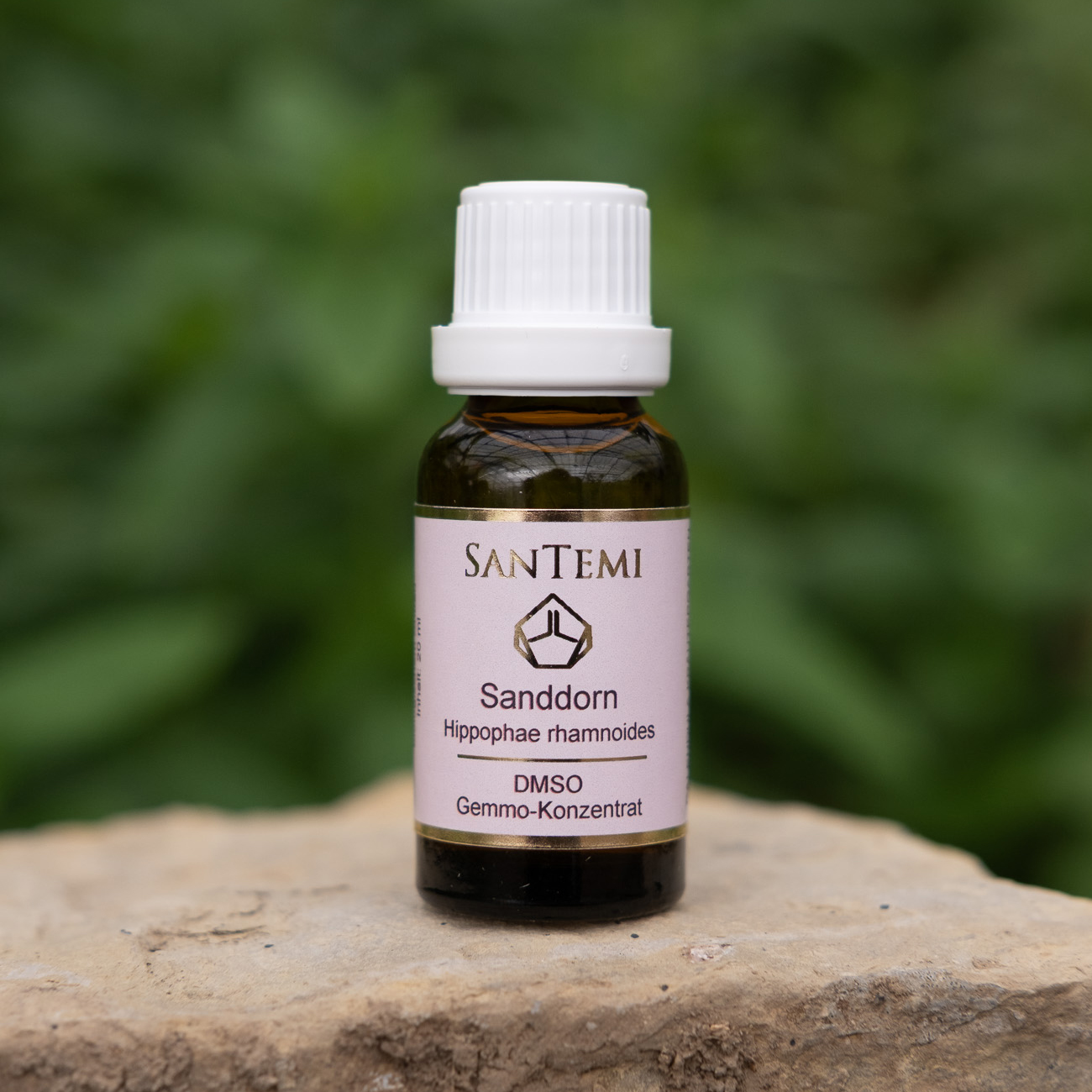 DMSO Gemmo-Konzentrat Sanddorn Hippophae rhamnoides
