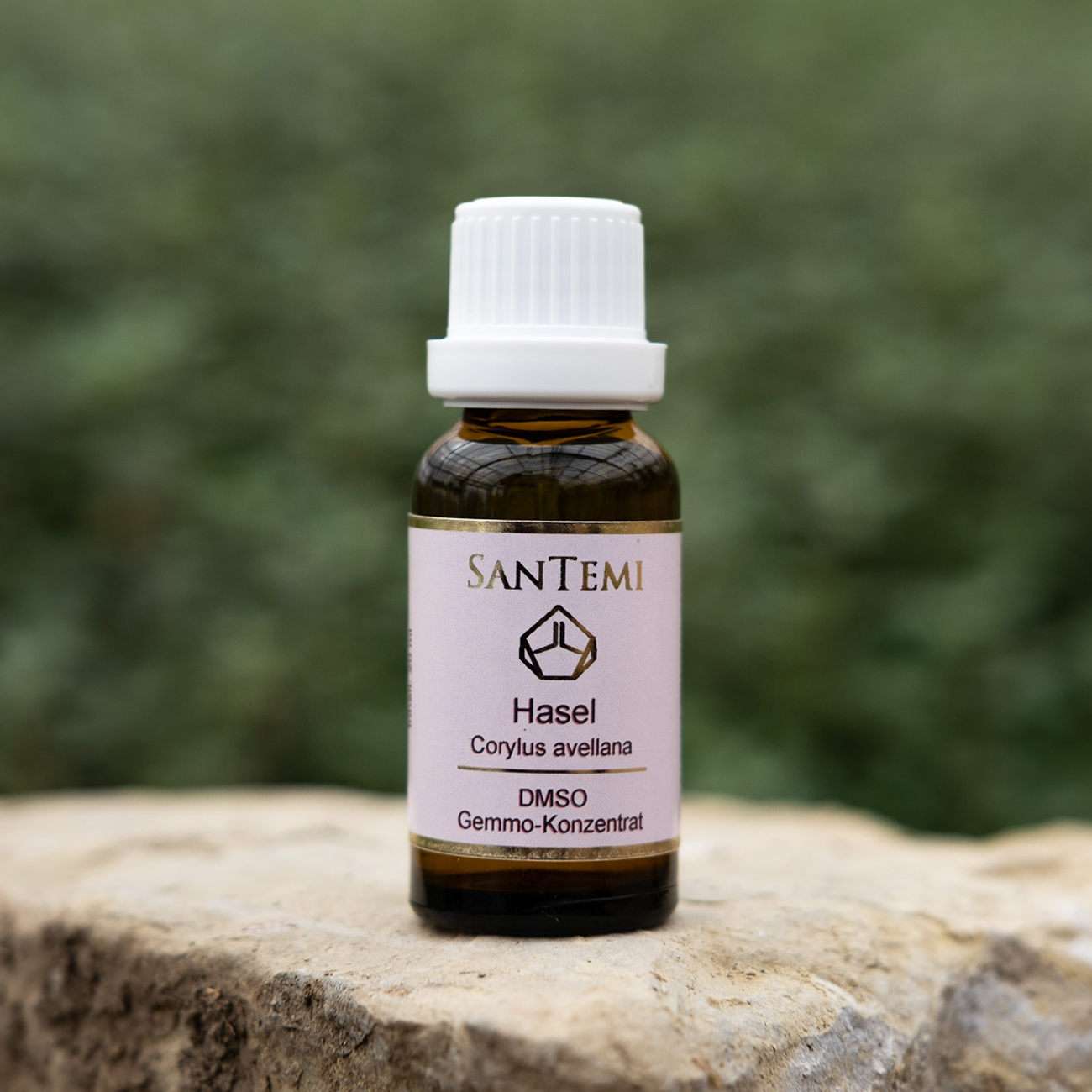 DMSO Gemmo-Konzentrat Hasel Corylus avellana, 20 ml