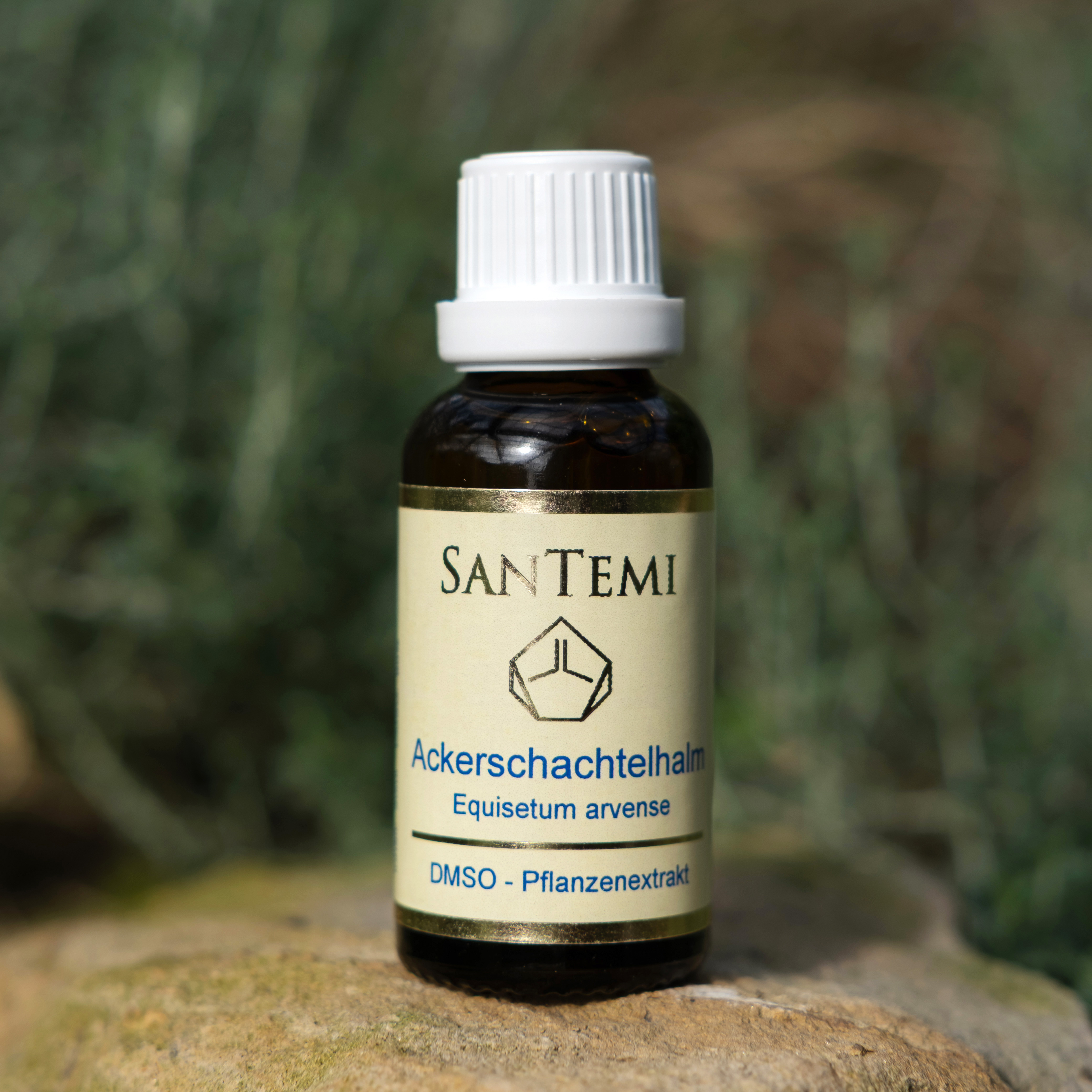 Ackerschachtelhalm (Equisetum arvense), DMSO Pflanzenextrakt Ackerschachtelhalm (Equisetum arvense), DMSO Pflanzenextrakt