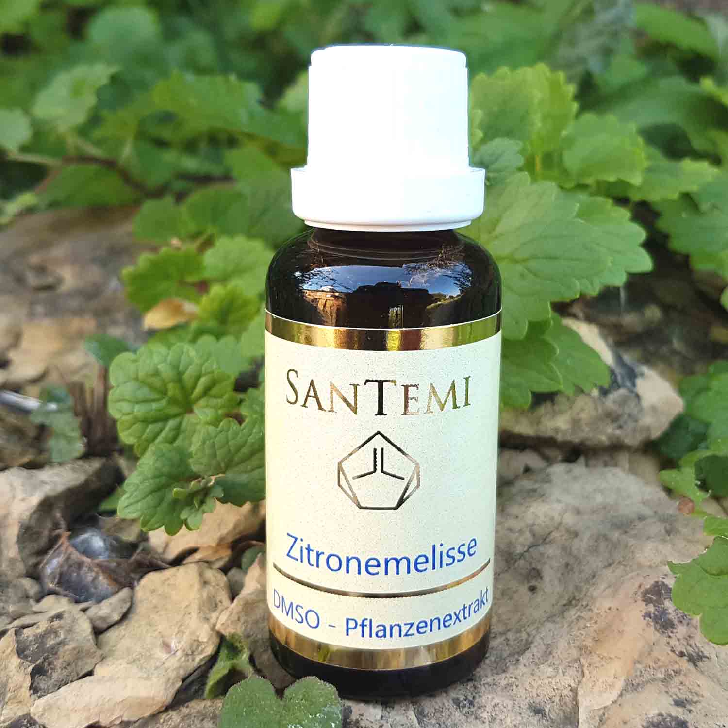 DMSO Pflanzenextrakt Zitronenmelisse - Melissa officinalis