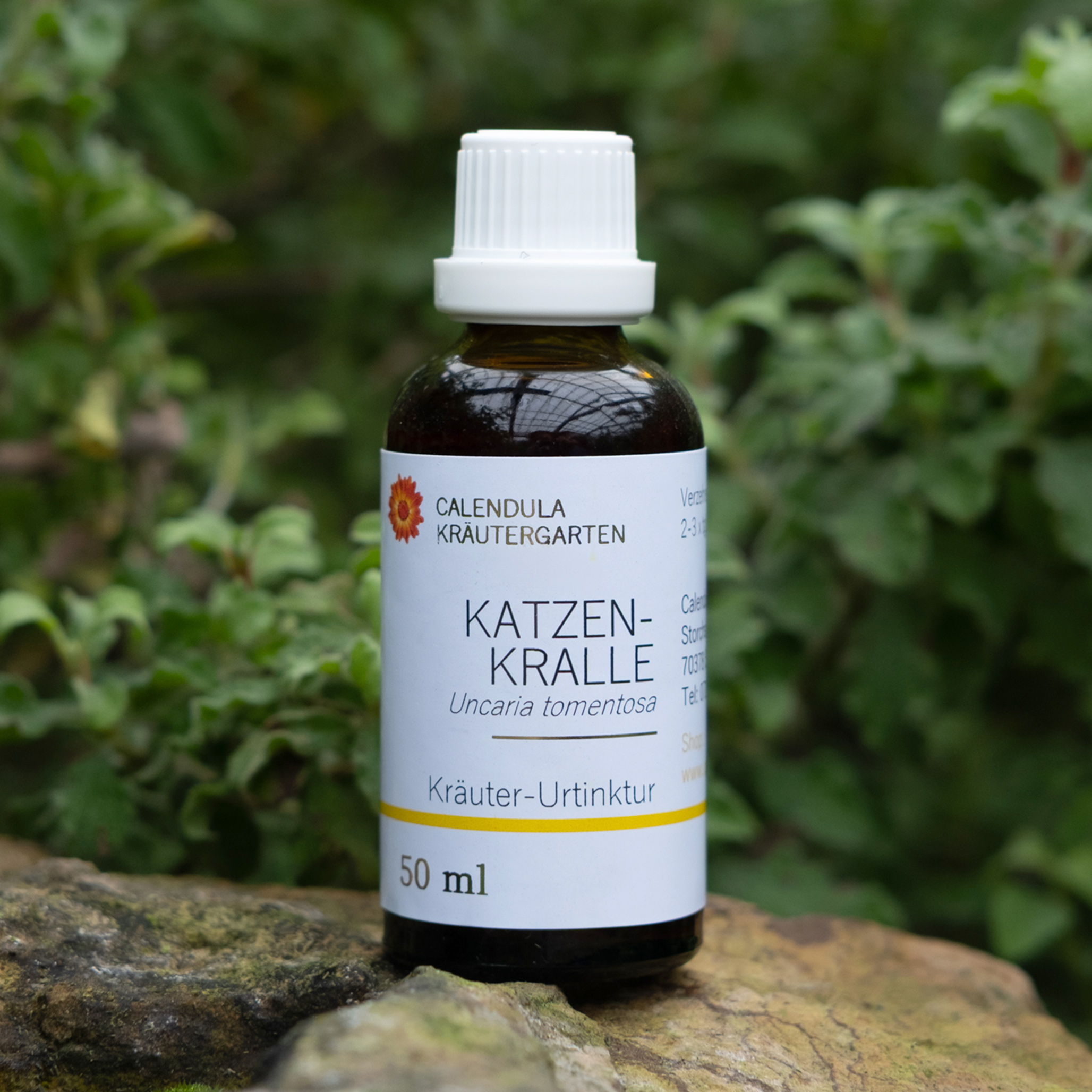 Katzenkralle (Uncaria tomentosa) Kräuter-Urtinktur 50 ml