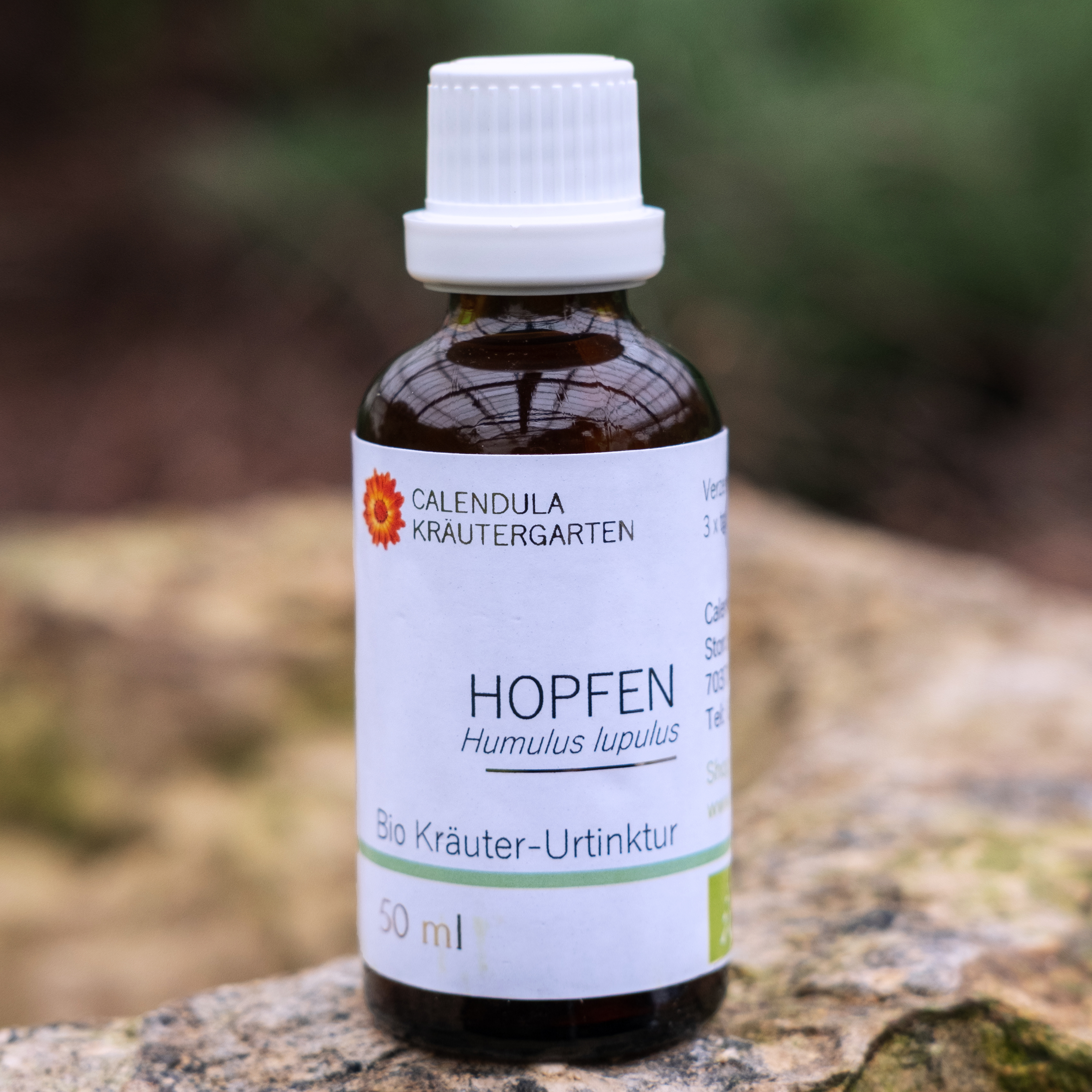 Hopfen, Humulus lupulus, Bio Kräuter-Urtinktur