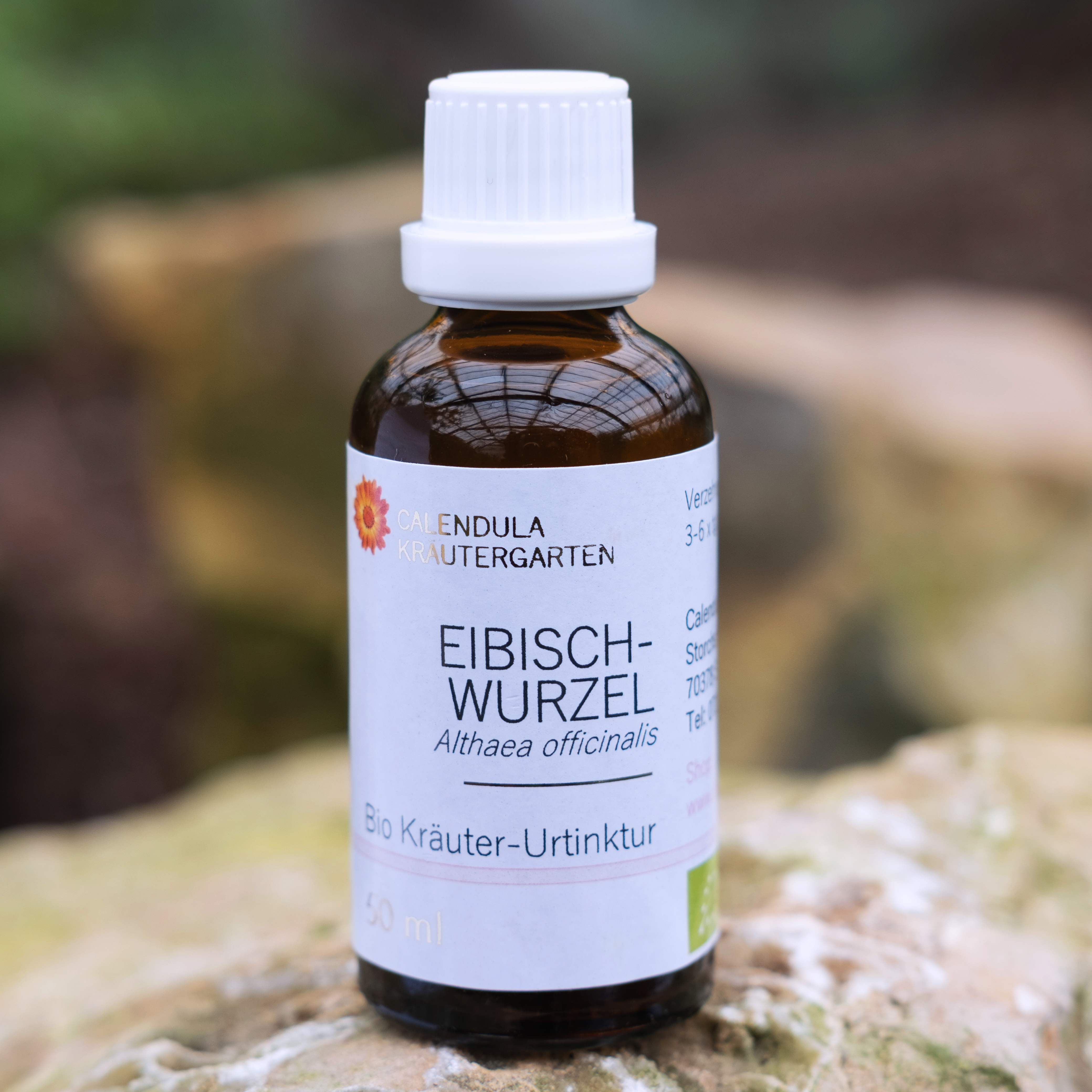 Eibischwurzel, Althaea officinalis, Bio Kräuter-Urtinktur 