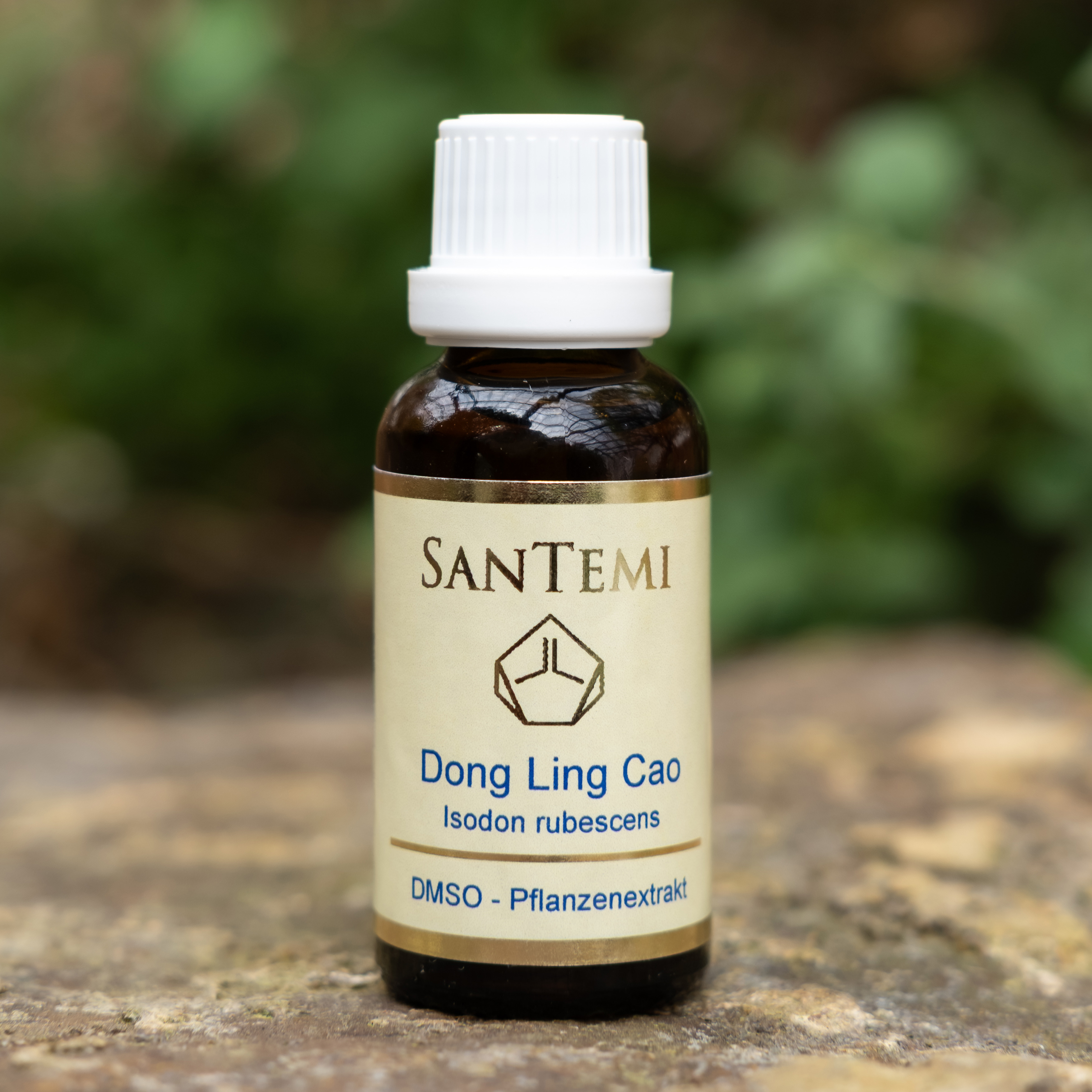 DMSO Pflanzenextrakt Dong Ling Cao - Isodon rubescens DMSO Pflanzenextrakt Dong Ling Cao - Isodon rubescens