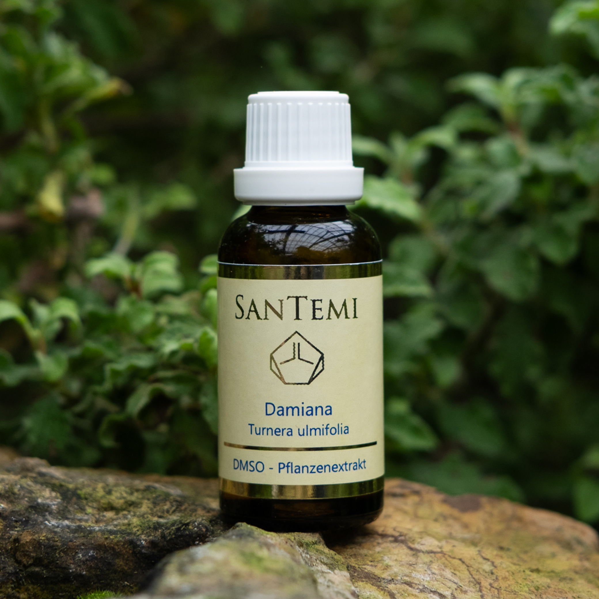 Damiana (Turnera ulmifolia) DMSO Pflanzenextrakt 30 ml
