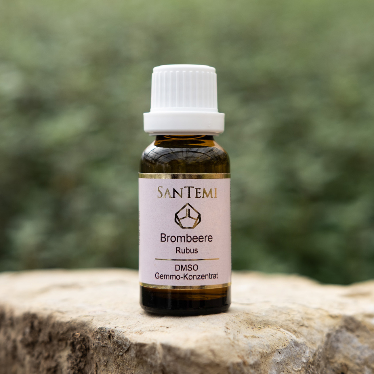 DMSO Gemmo-Konzentrat Brombeere Rubus nigra