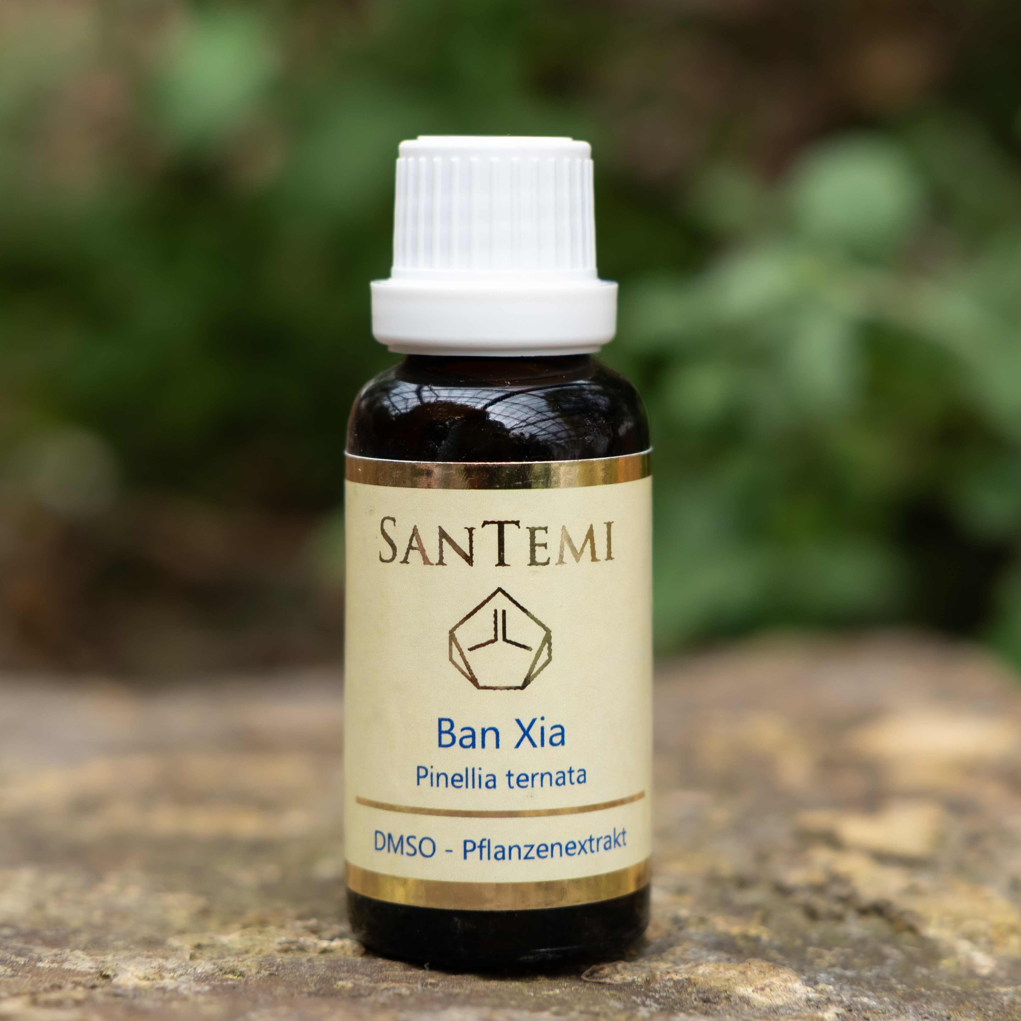 DMSO Pflanzenextrakt Ban Xia - Pinellia ternata DMSO Pflanzenextrakt Ban Xia - Pinellia ternata