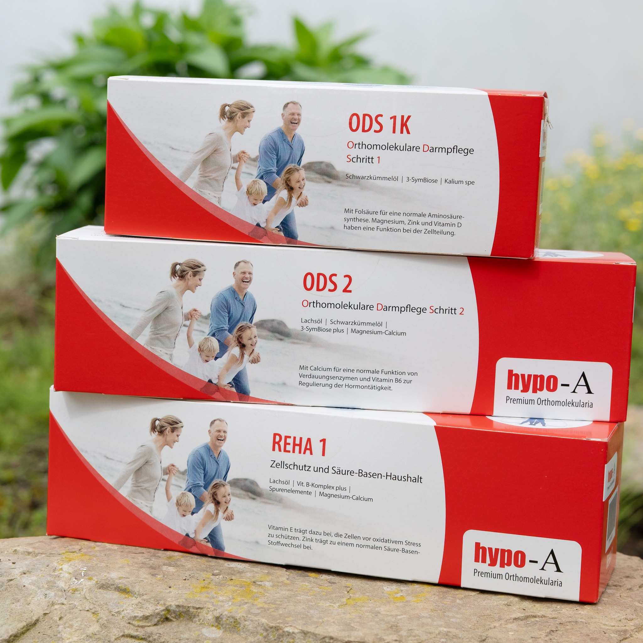 Borreliose-Set Komplettpaket nach HP Dieter Berweiler