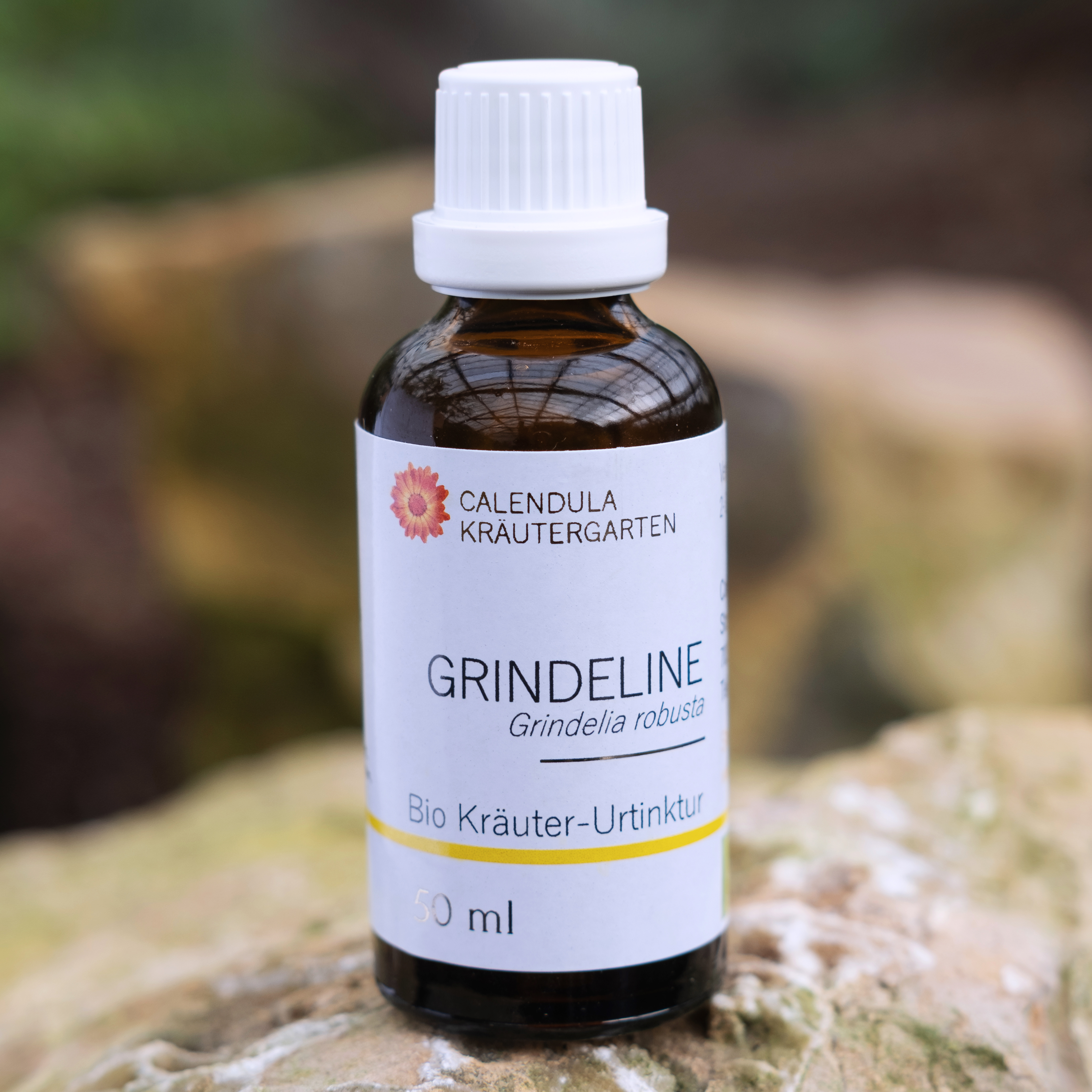 Grindeline, Grindelia robusta, Bio Kräuter-Urtinktur 
