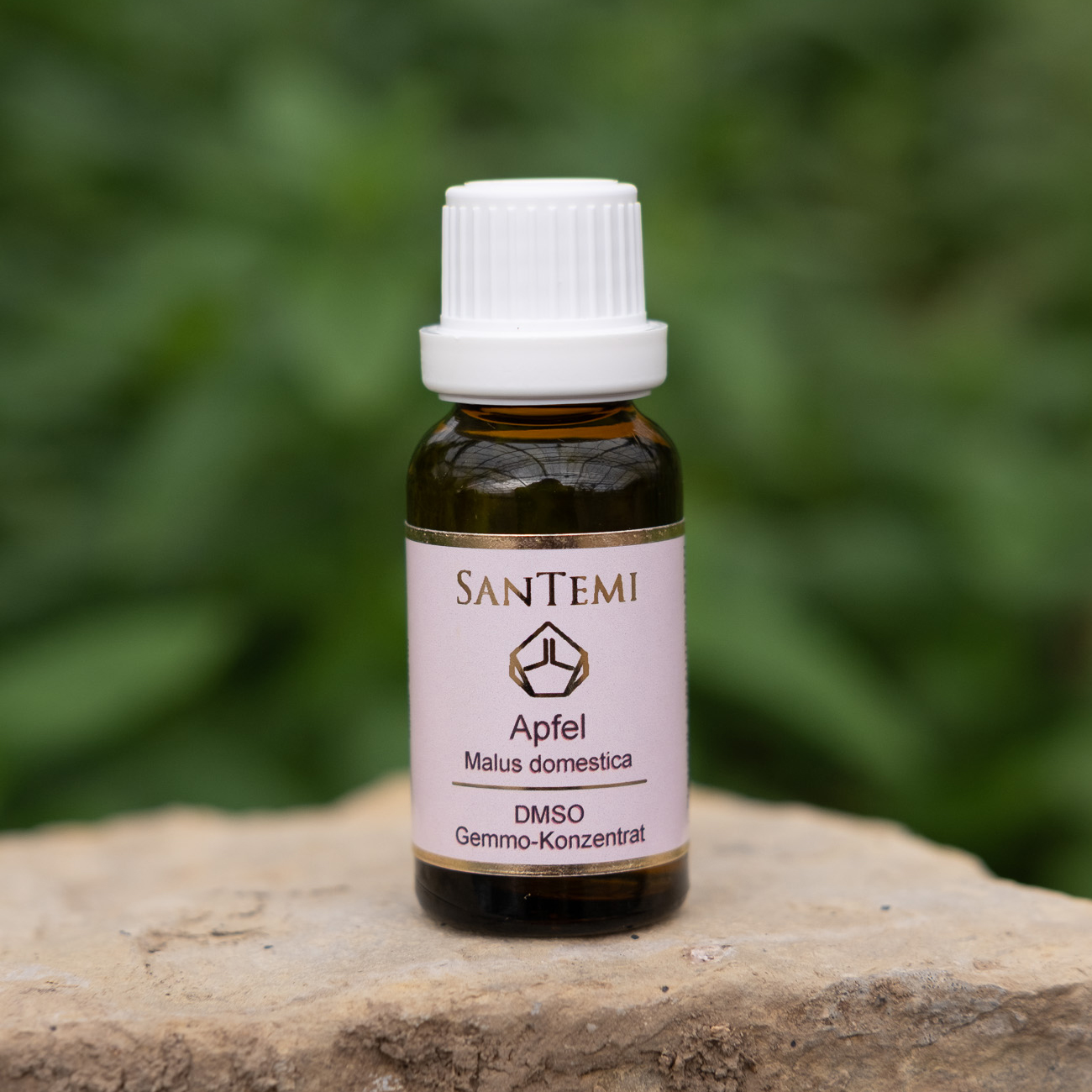 DMSO Gemmo-Konzentrat Apfel Malus domestica, 20 ml