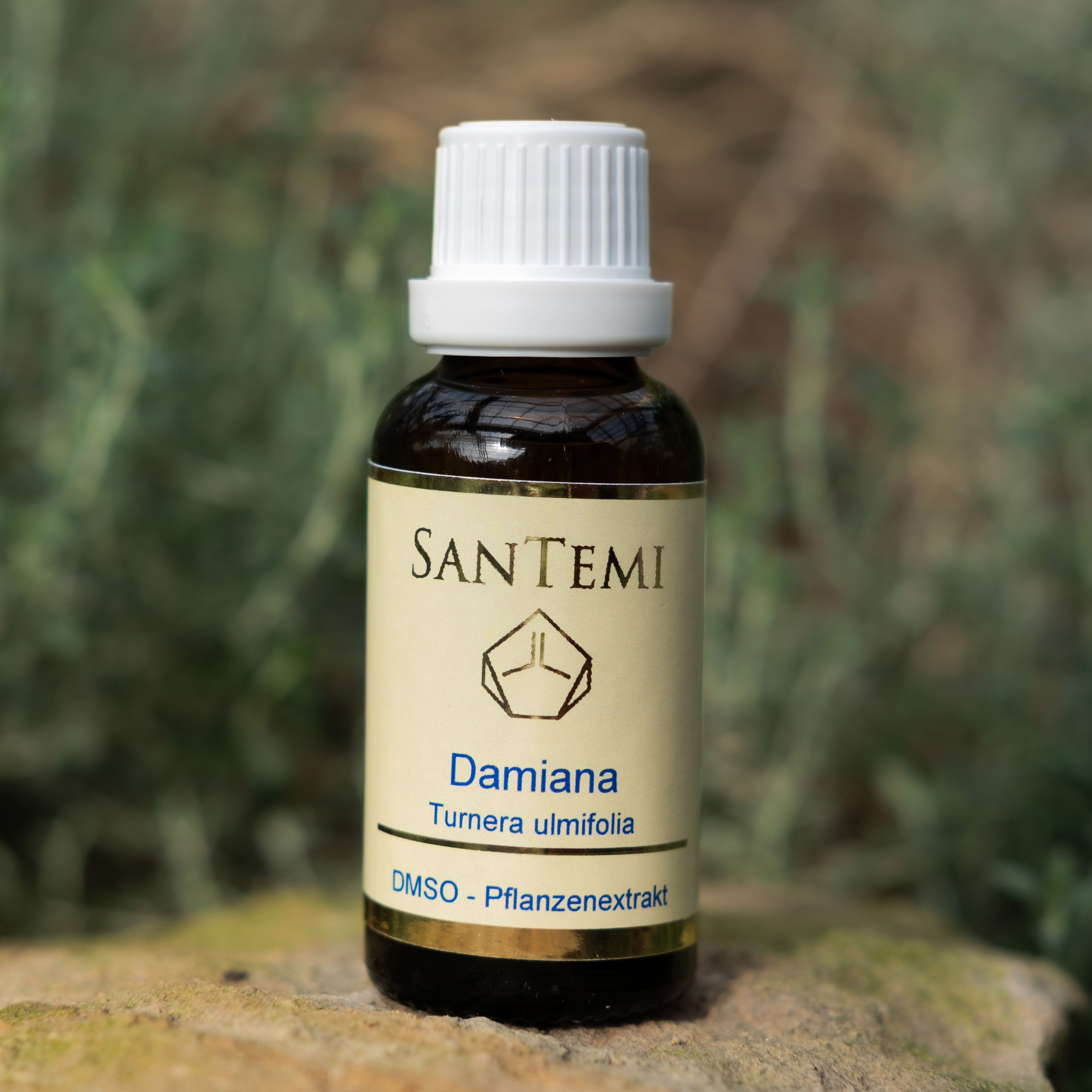 DMSO Pflanzenextrakt Damiana - Turnera ulmifolia DMSO Pflanzenextrakt Damiana - Turnera ulmifolia