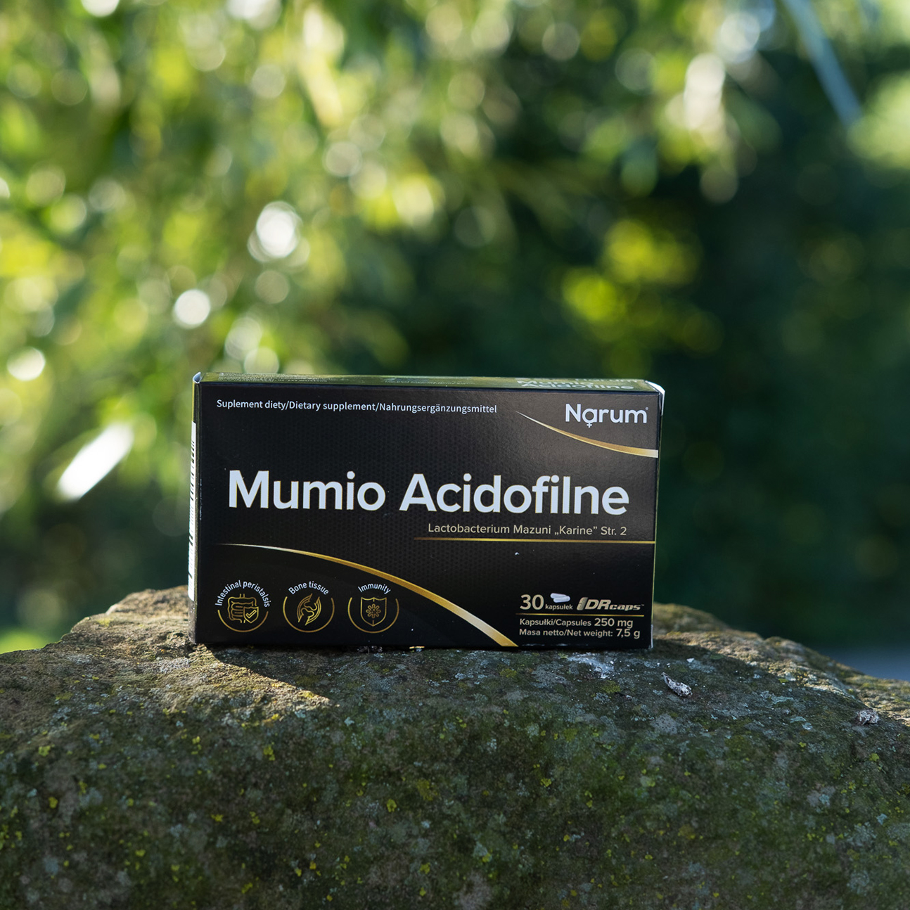 Mumio Acidofilne (Shilajit) 250 mg + Lactobacterium Mazuni "Karine" Str.2, 30 Kapseln