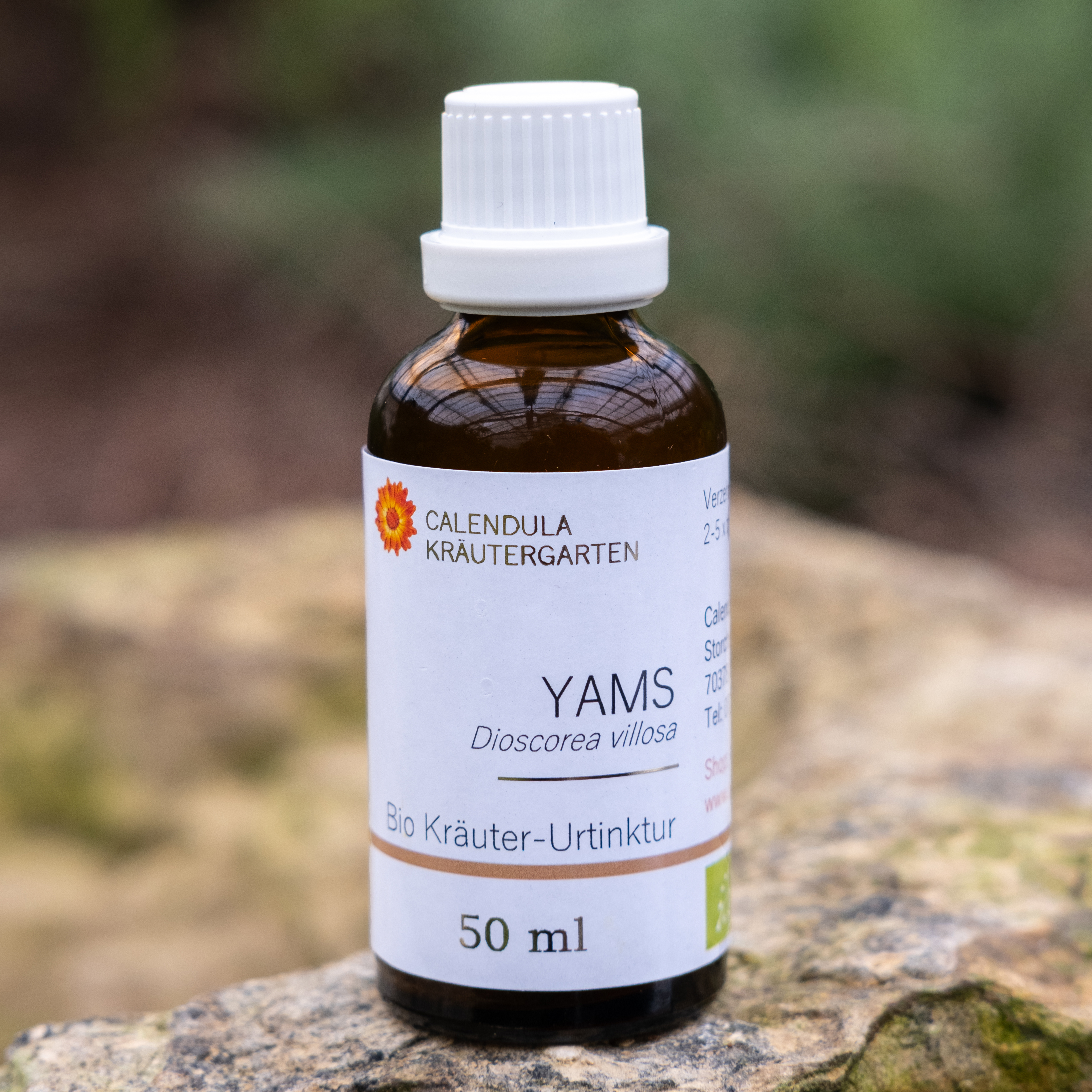 Yams Bio Kräuter-Urtinktur Dioscorea villosa
