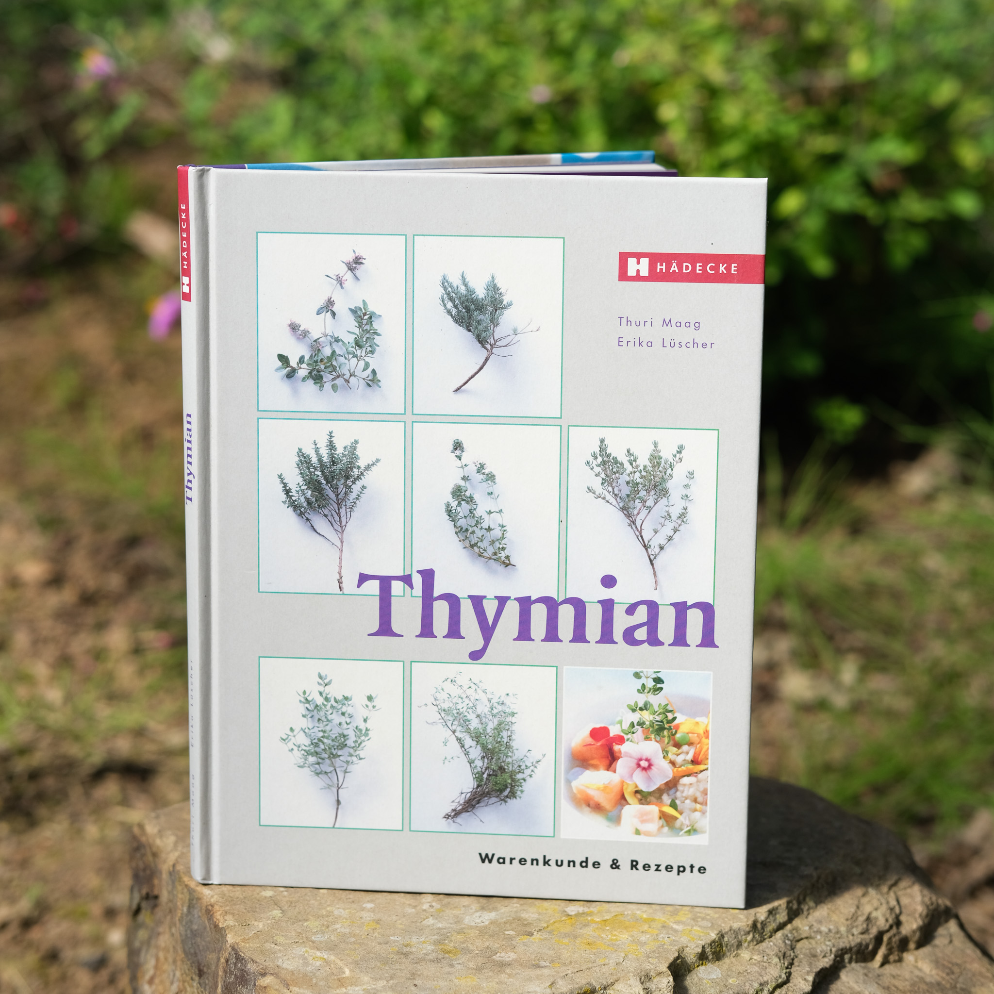 Thymian – Warenkunde & Rezepte Thymian – Warenkunde & Rezepte