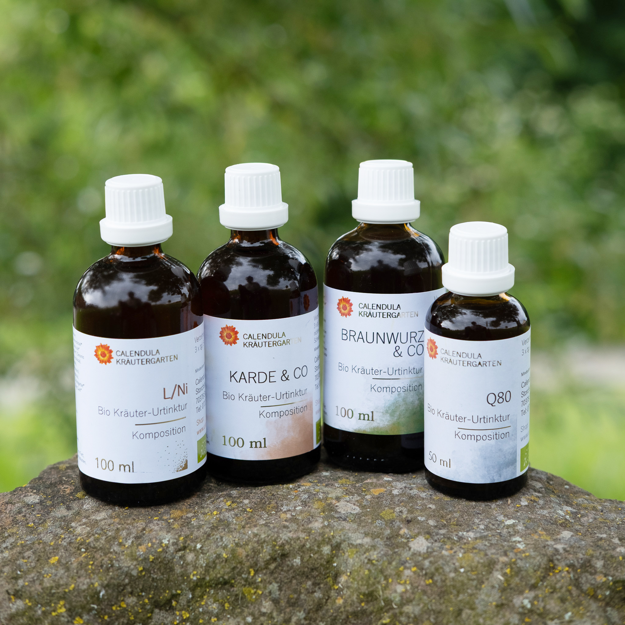 Borreliose-Set Basispaket nach HP Dieter Berweiler