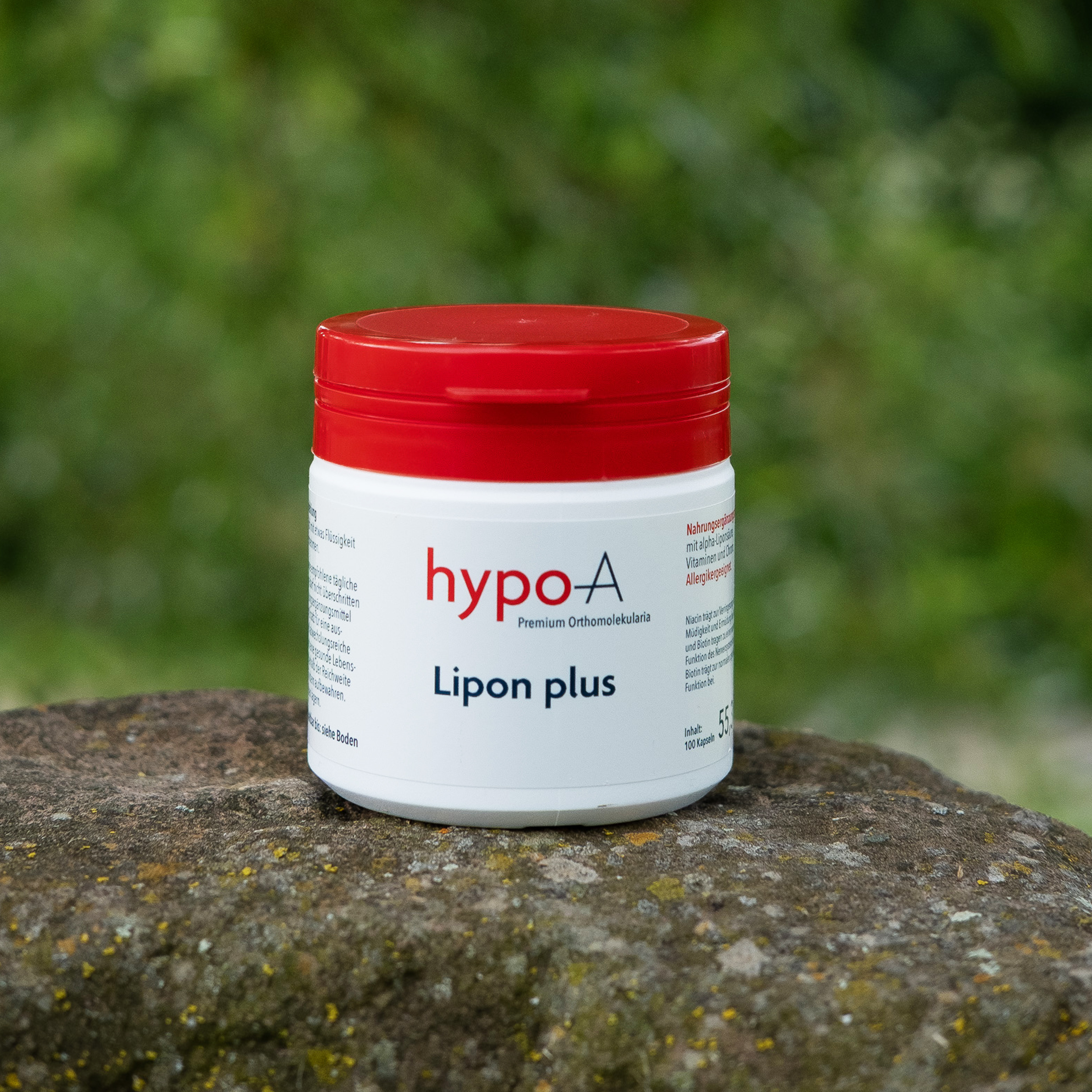 Lipon plus 100 Kapseln