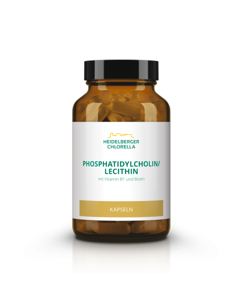 Phosphatidylcholin Lecithin 120 Kapseln